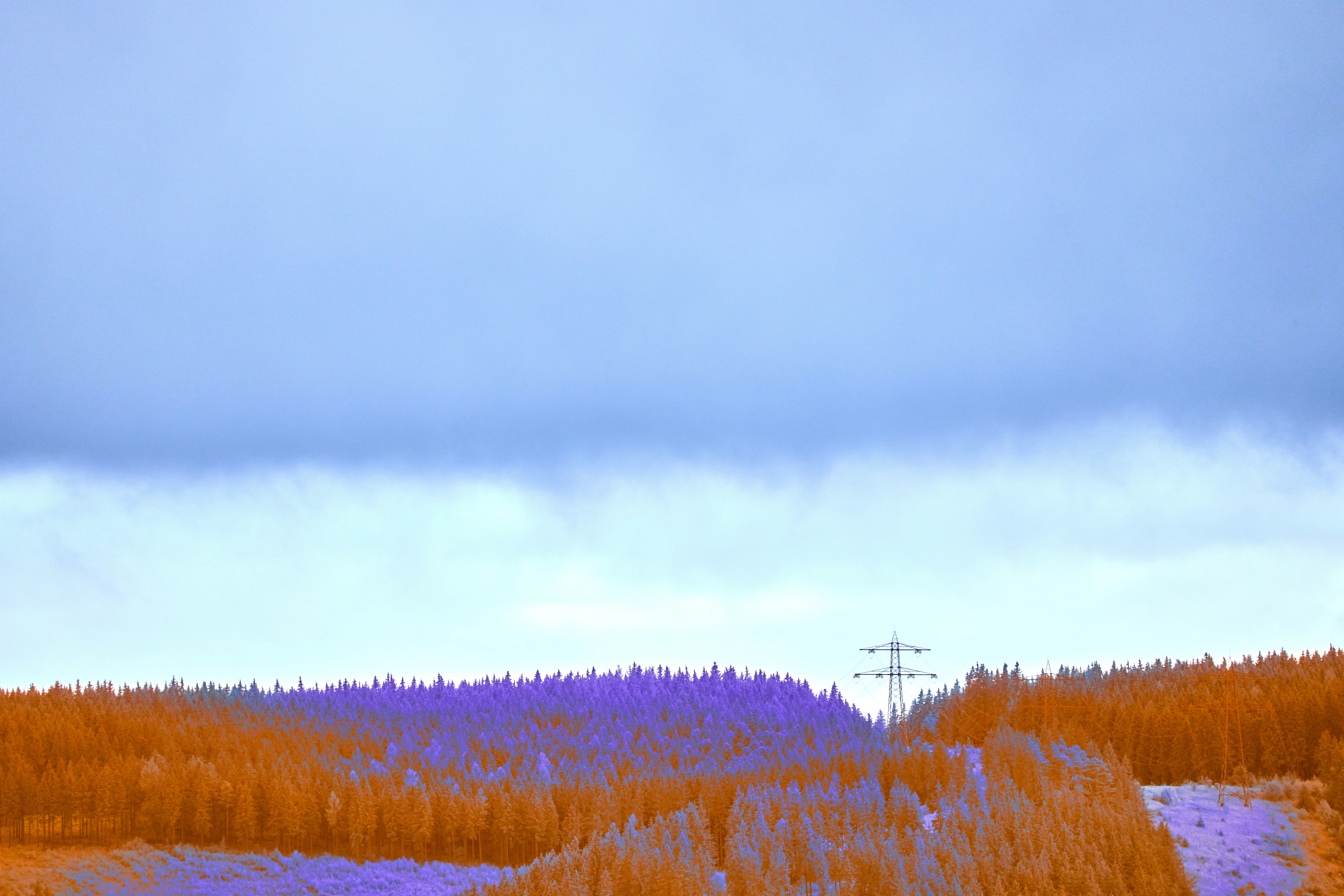 Photo by wolfgang_hasselmann