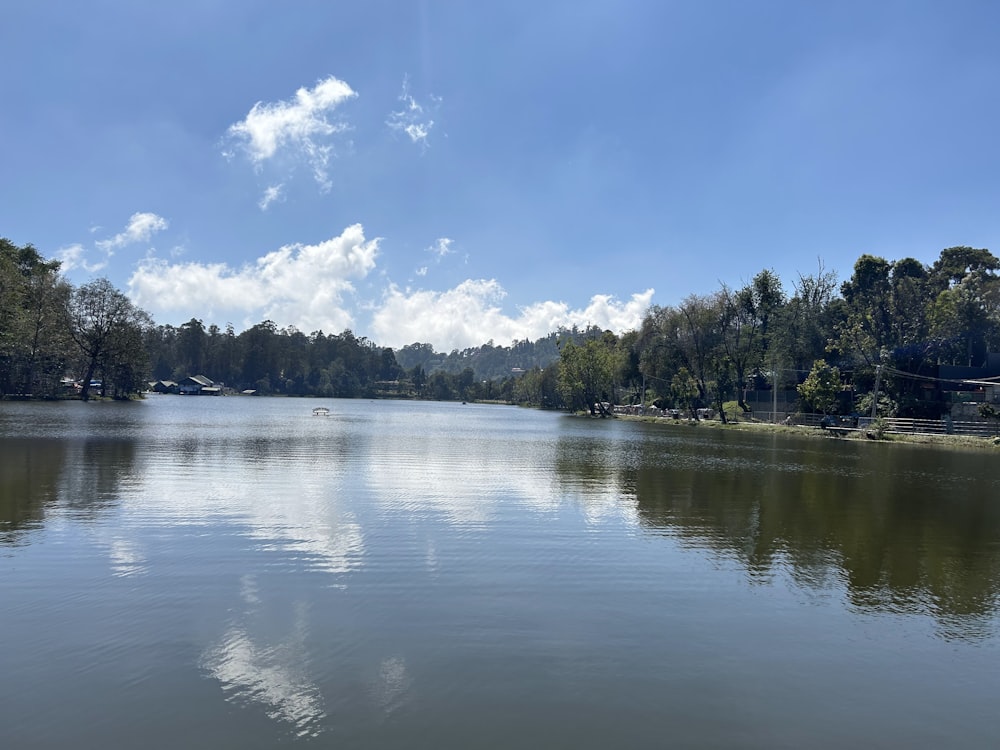 a large body of water surrounded by trees