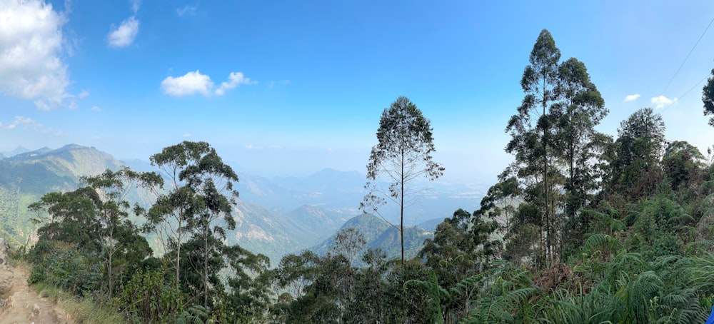 a scenic view of the mountains and trees