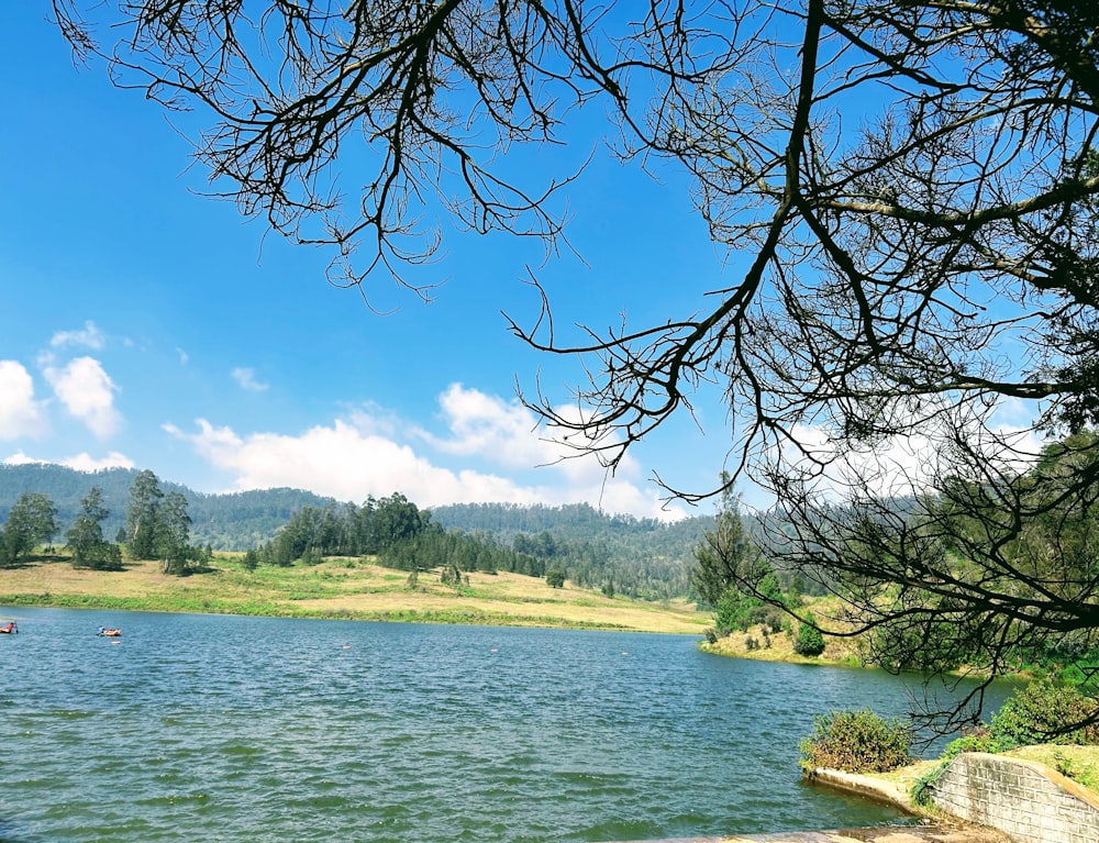 a body of water surrounded by a lush green forest