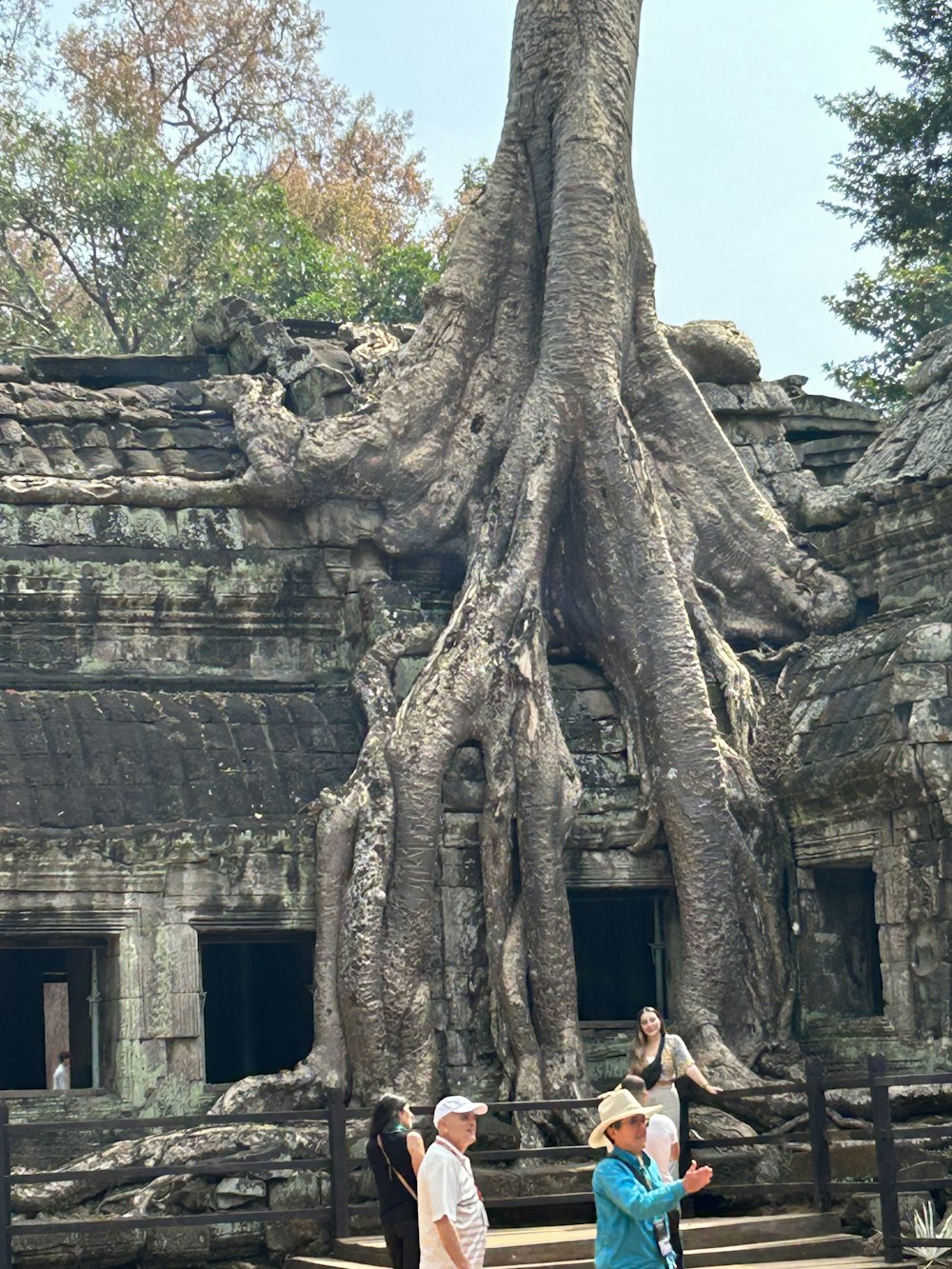 a group of people standing in front of a tree