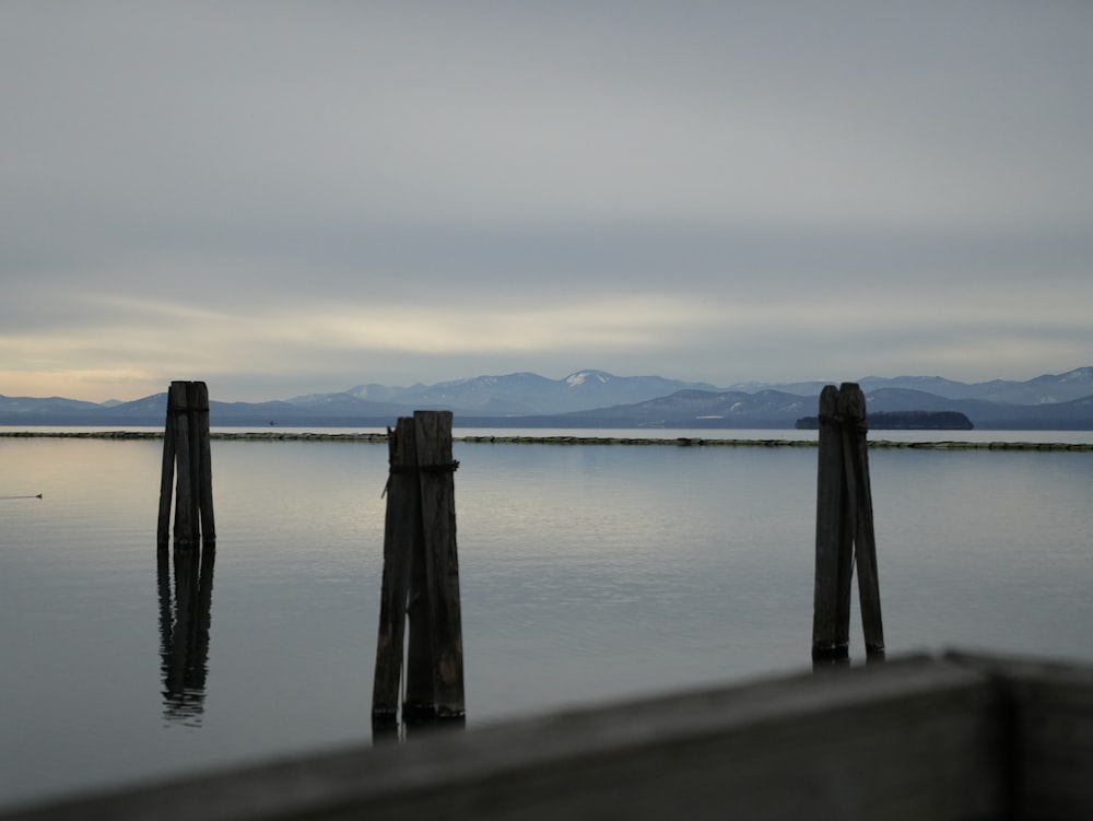 a body of water that has some poles in it