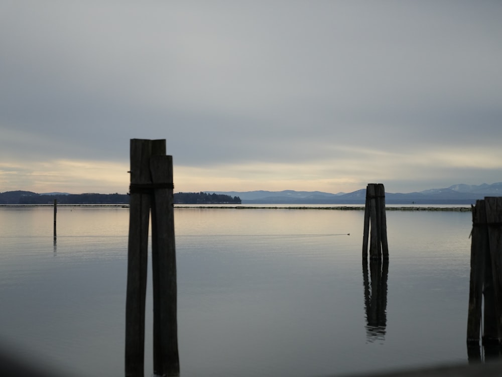 a body of water that has some poles in it