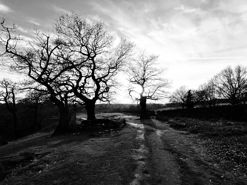 a black and white photo of a dirt road