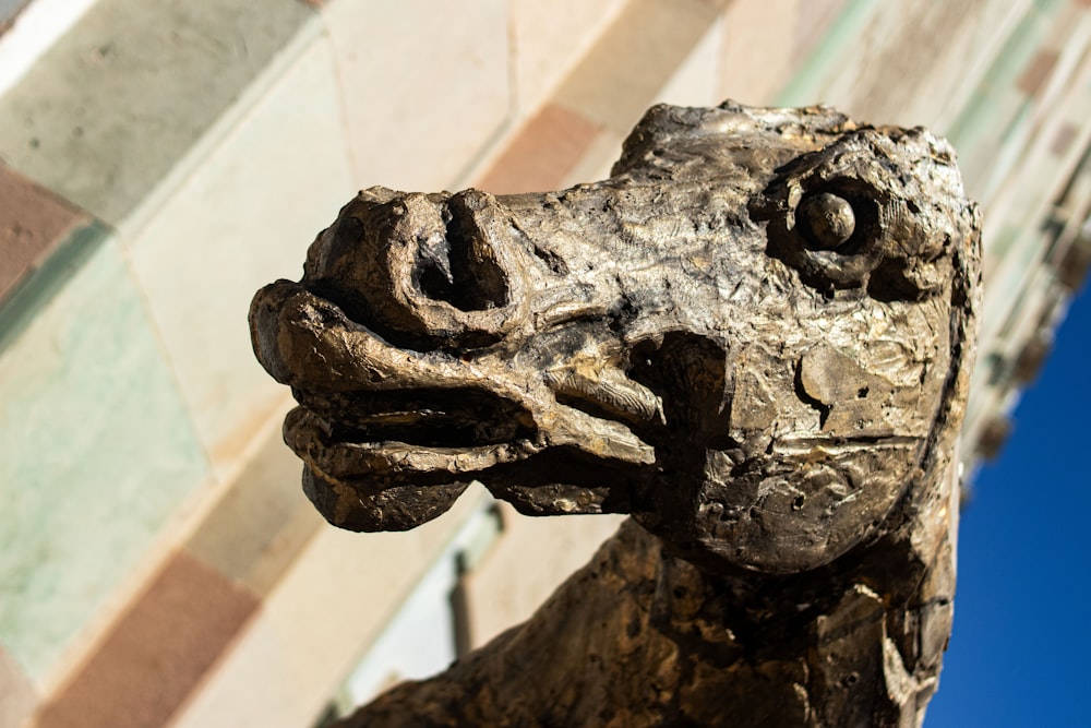 a close up of a statue of a dog