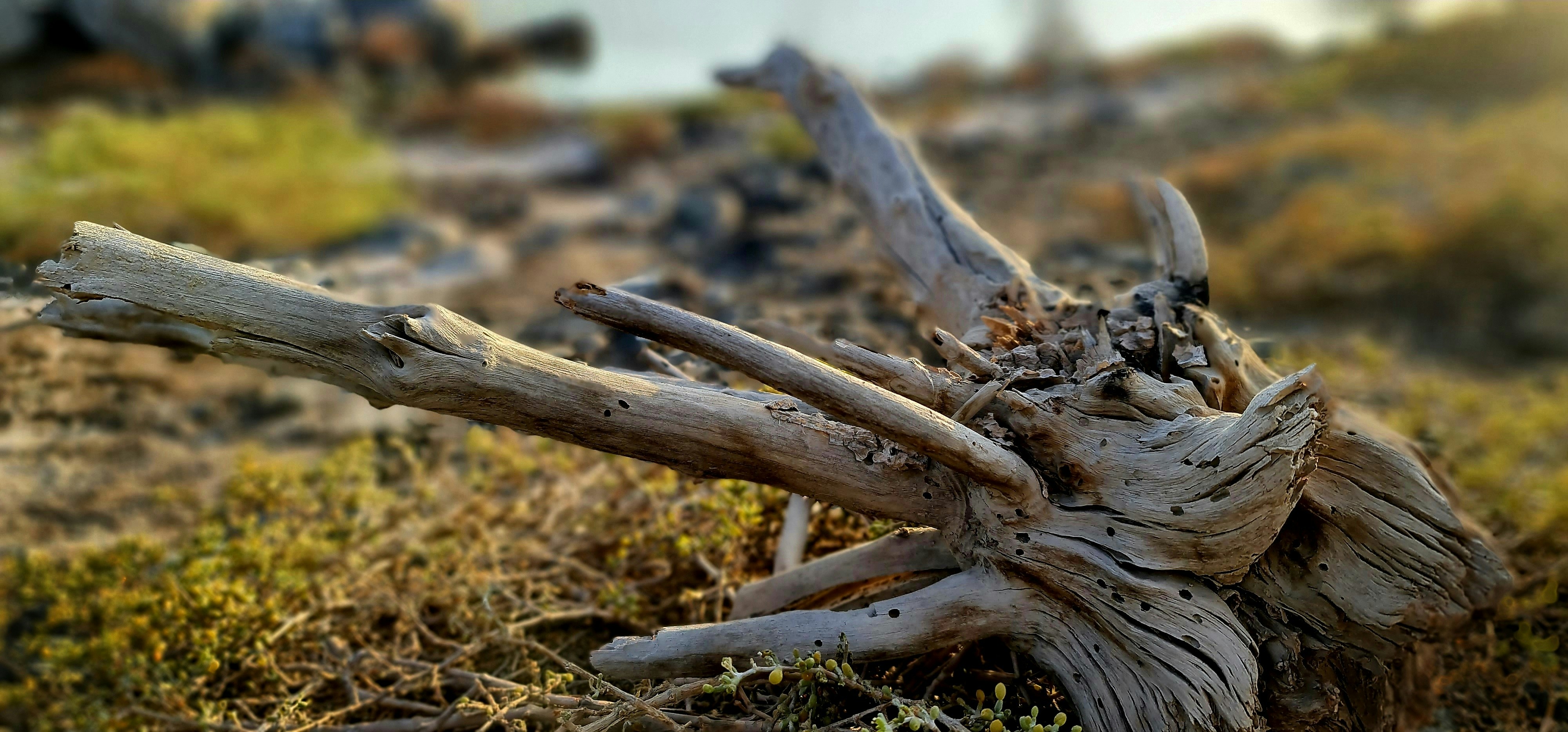 Photo by vijeshkolodi