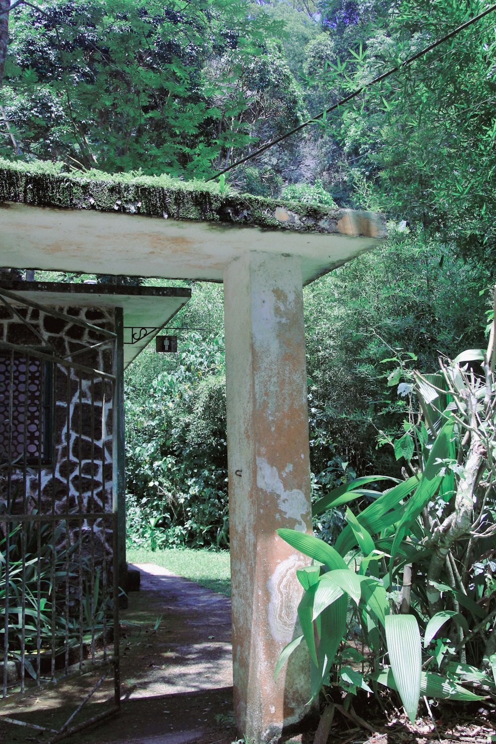 a stone structure in the middle of a forest