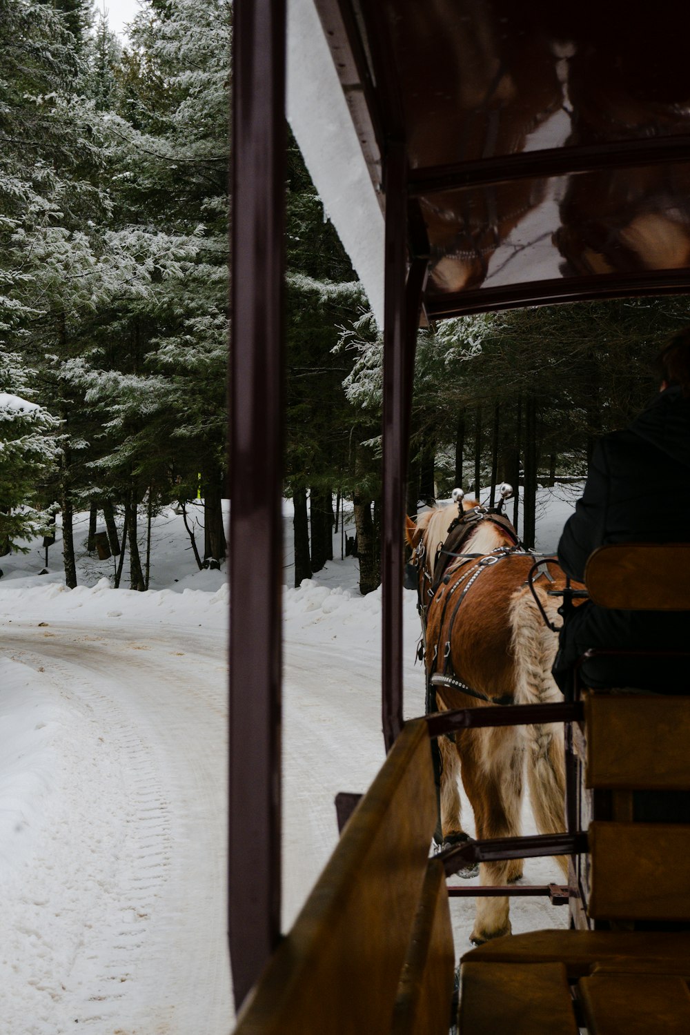 a horse drawn carriage traveling down a snow covered road