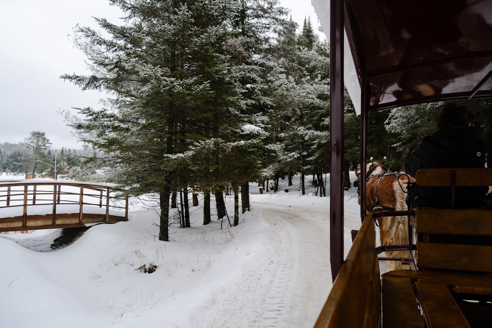 a horse drawn carriage traveling through a snow covered forest