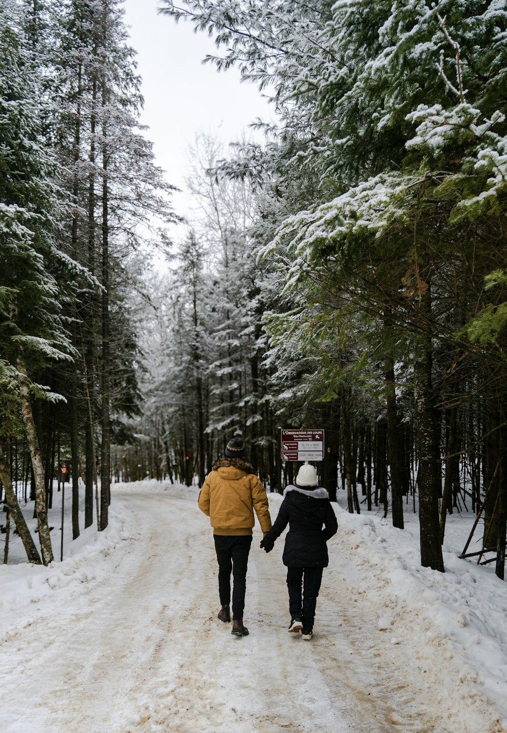 un couple de personnes marchant sur une route enneigée