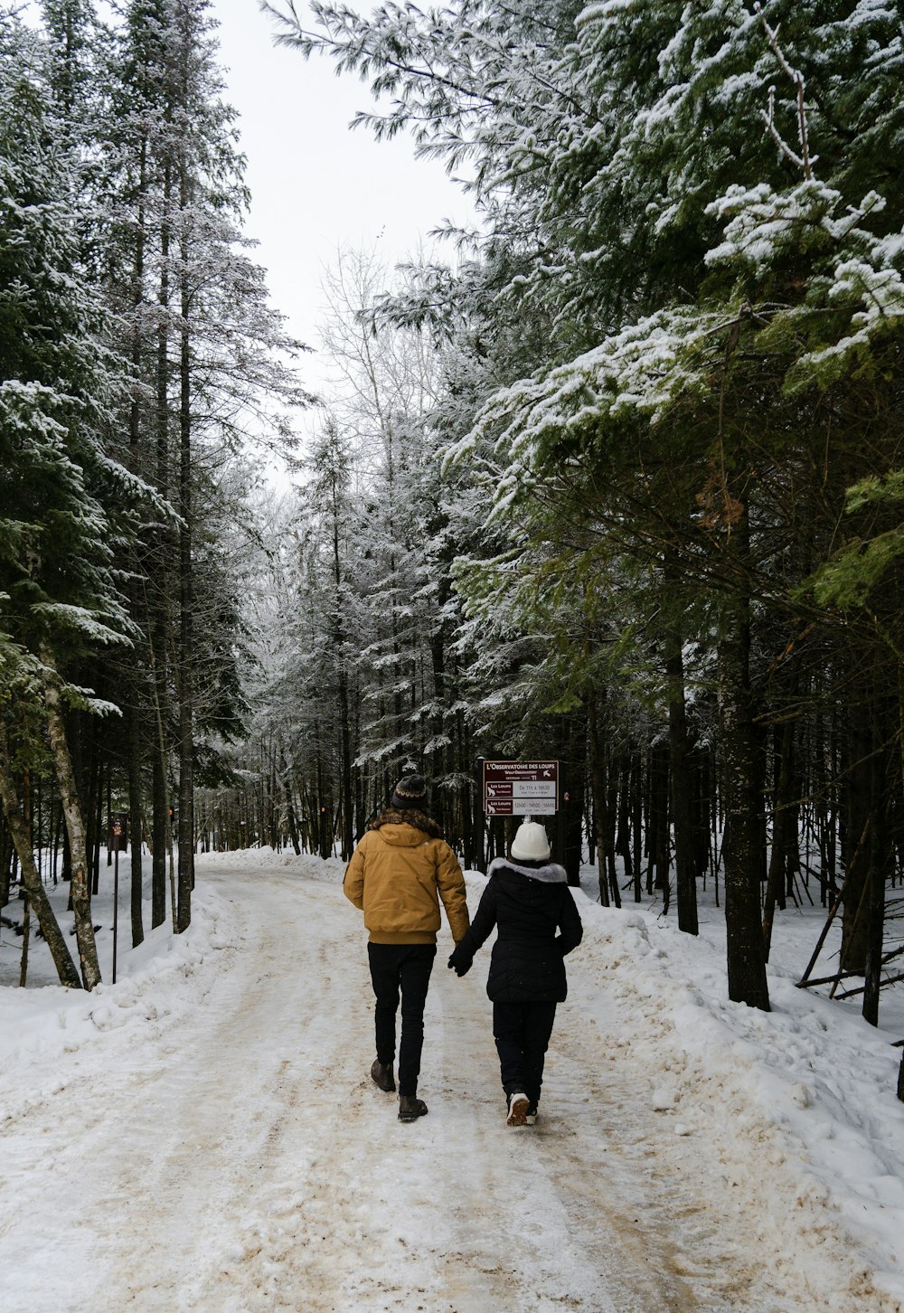 a couple of people walking down a snow covered road