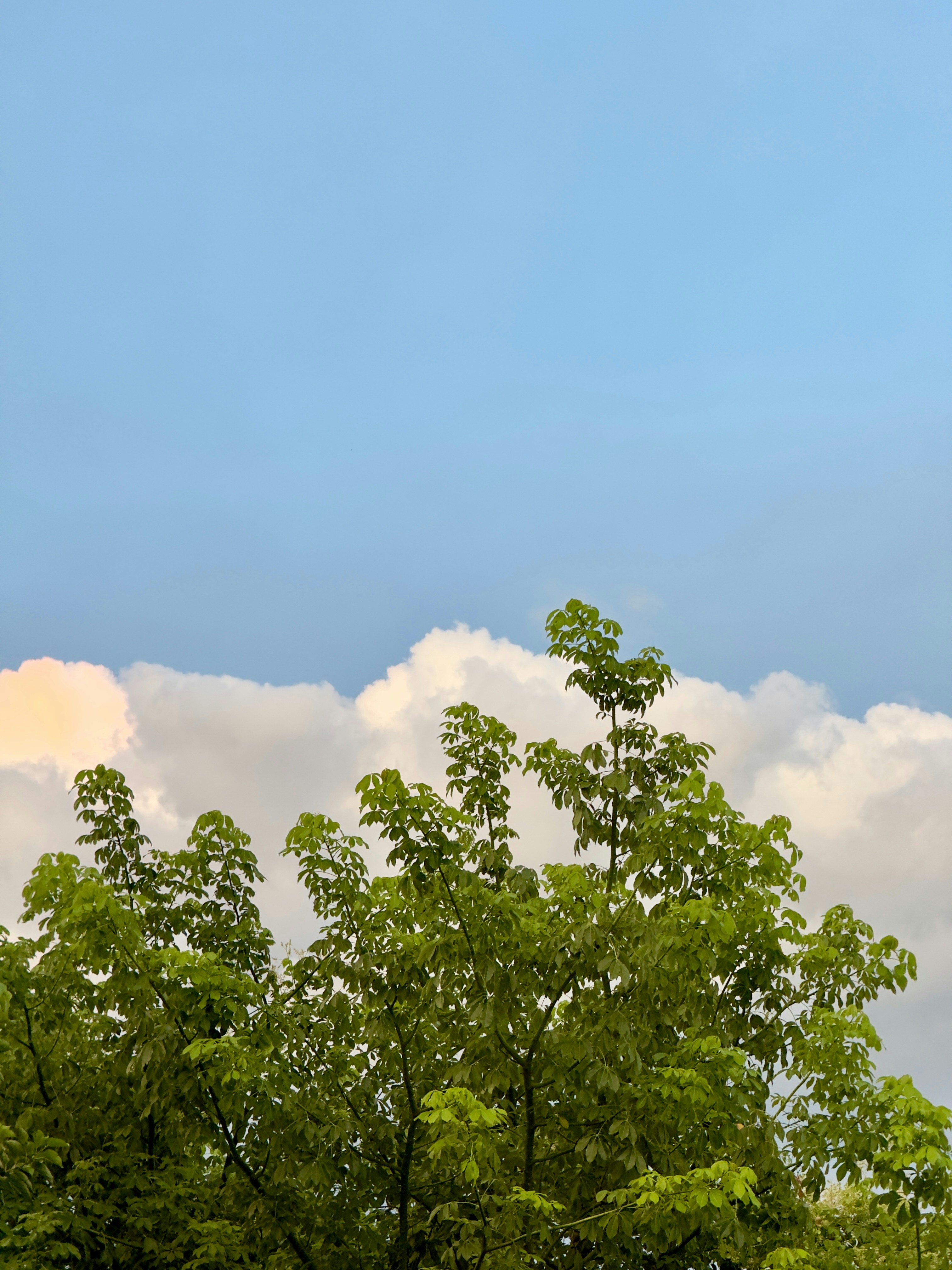 Photo by jesusnmendez17