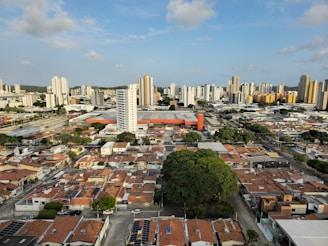 a city with a lot of tall buildings