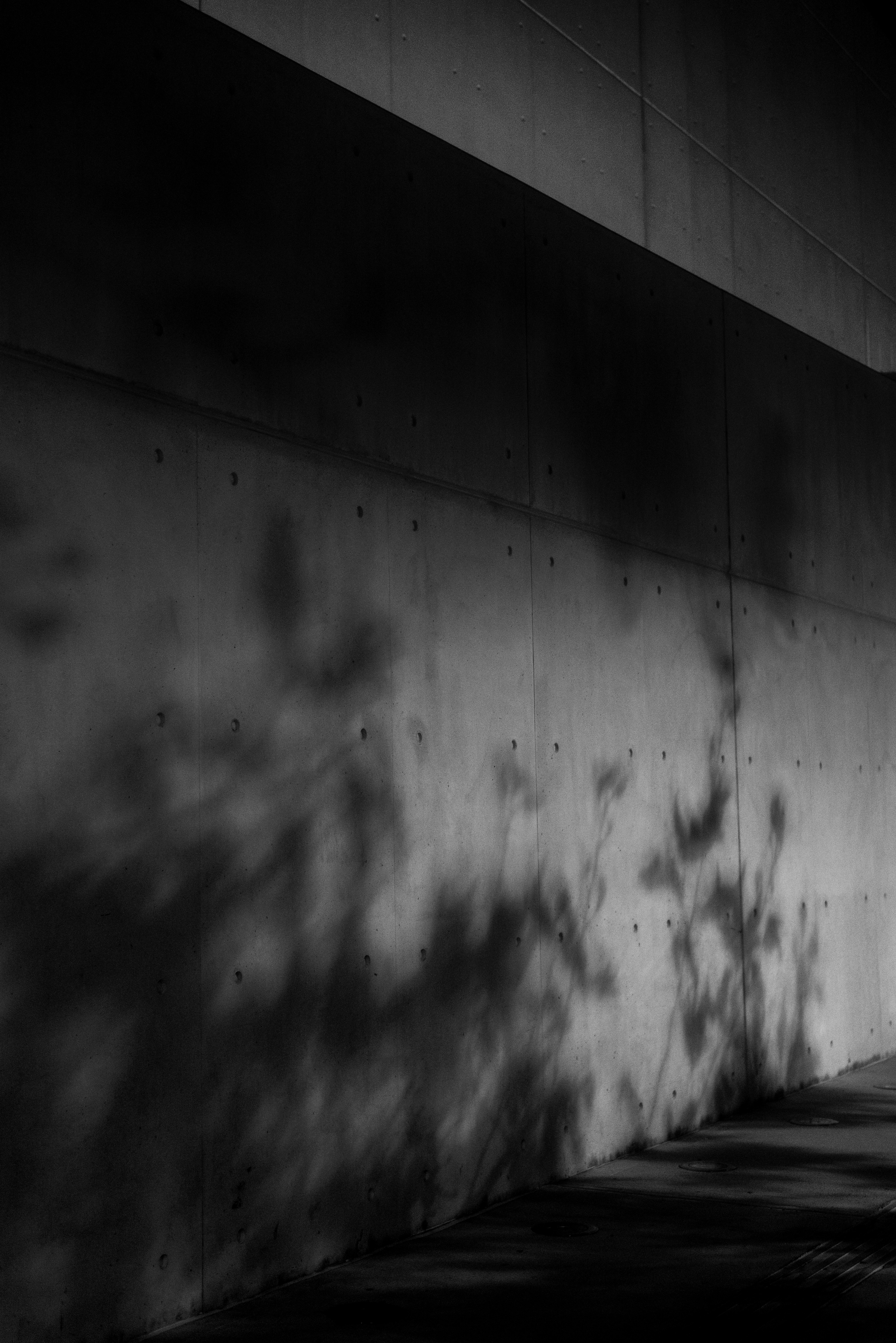 Photo by yorgostriantafyllou