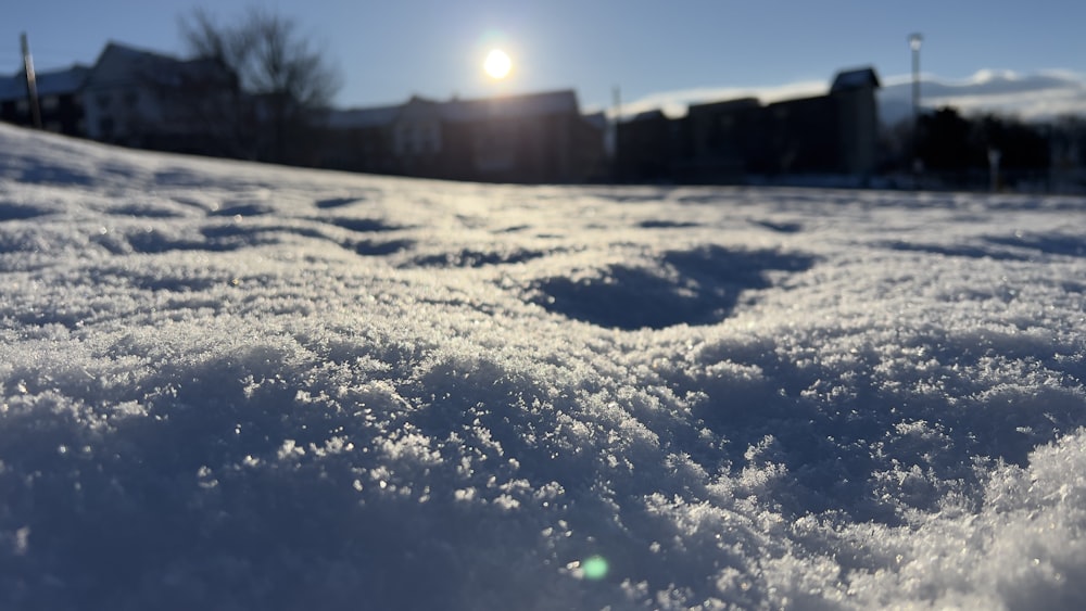 o sol está brilhando sobre o chão coberto de neve