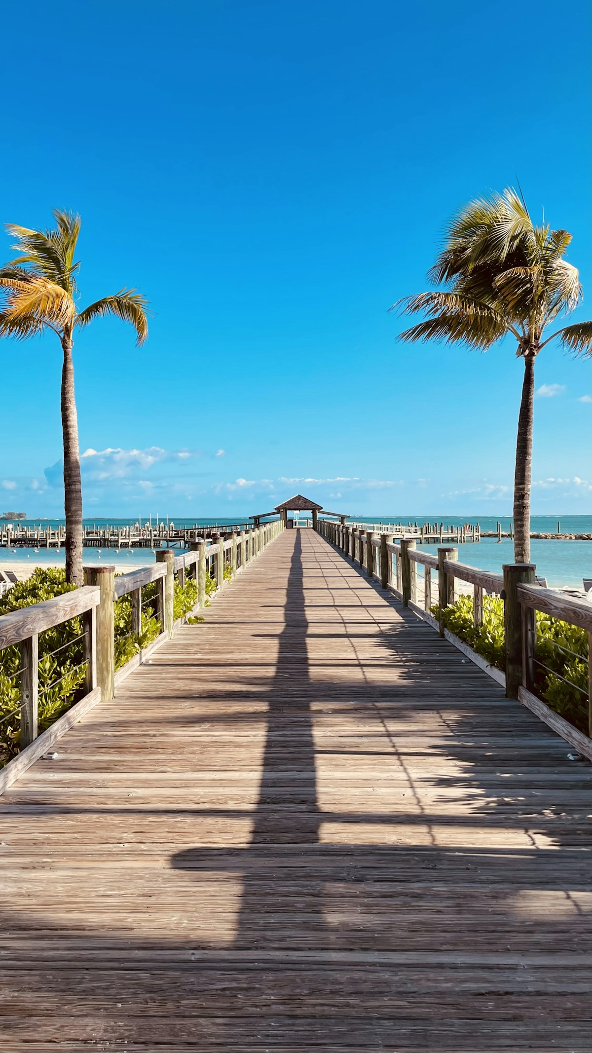 Wooden boardwalk lined with palm trees leading to a beach in Nassau, Bahamas
