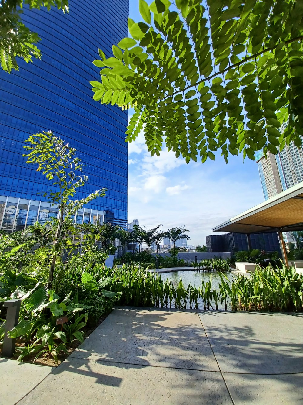 a very tall building sitting next to a lush green park