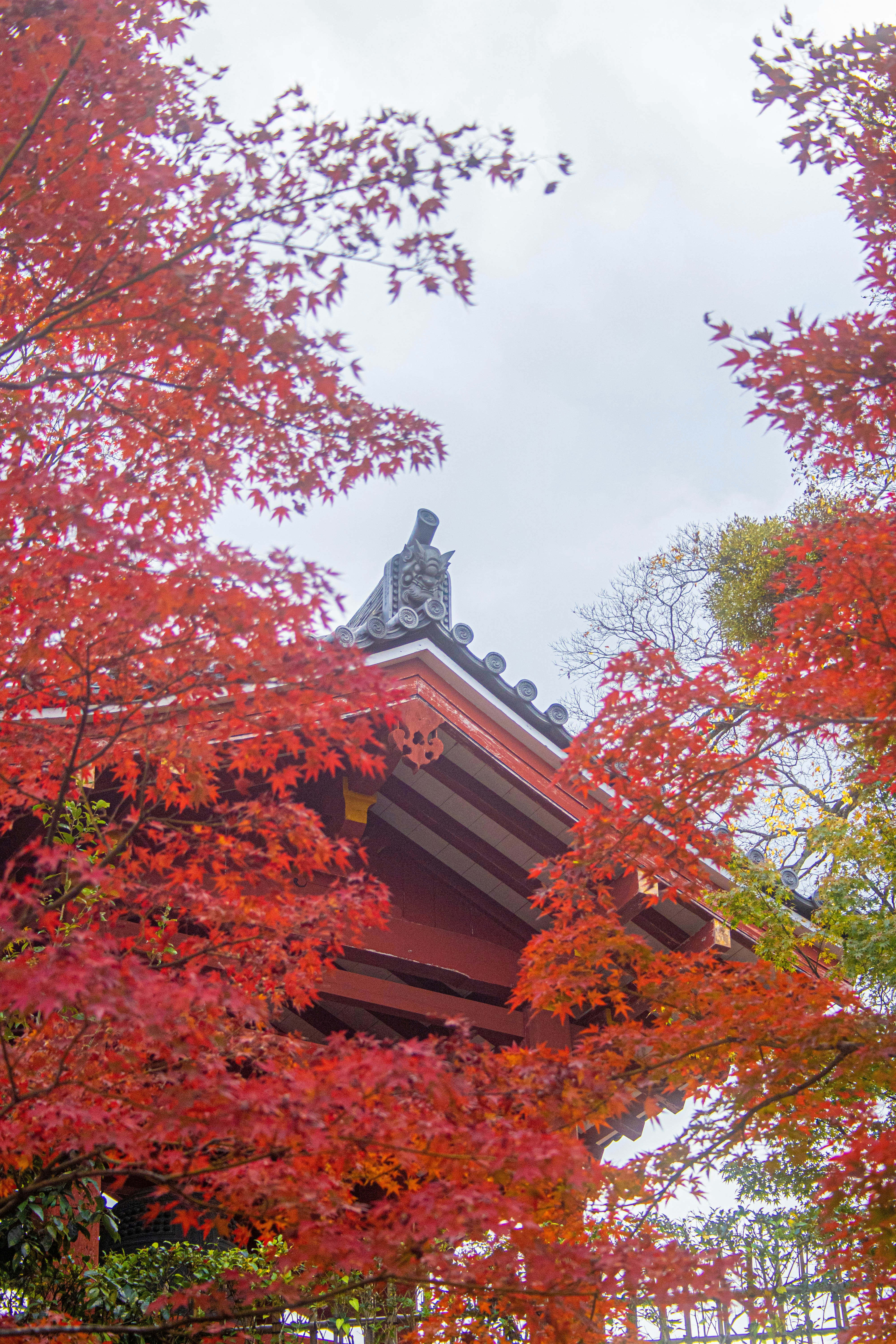 Photo by ryuno_2574