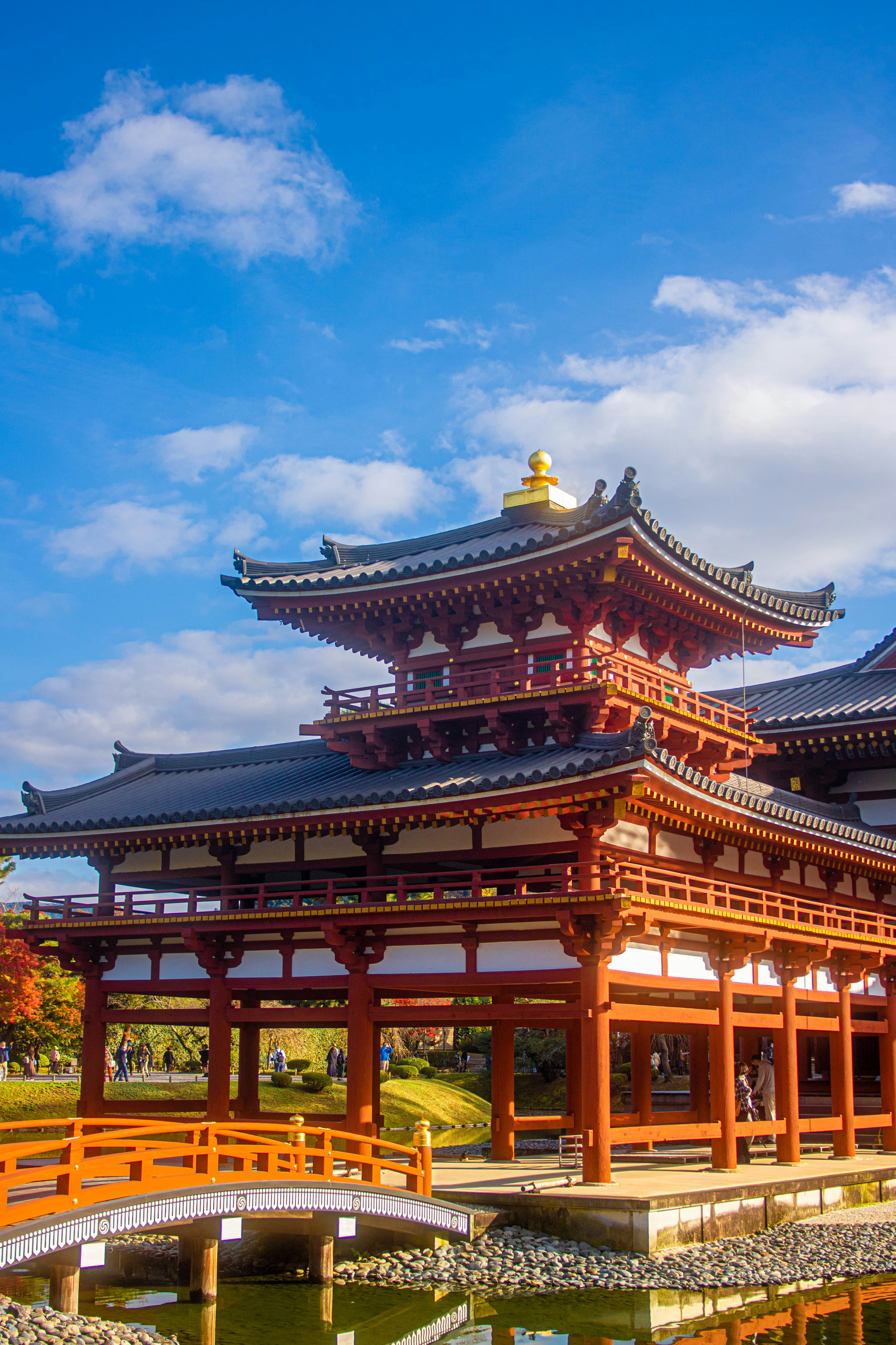 Autumn Leaves and Byodoin Phoenix Hall, a World Heritage Site in Kyoto