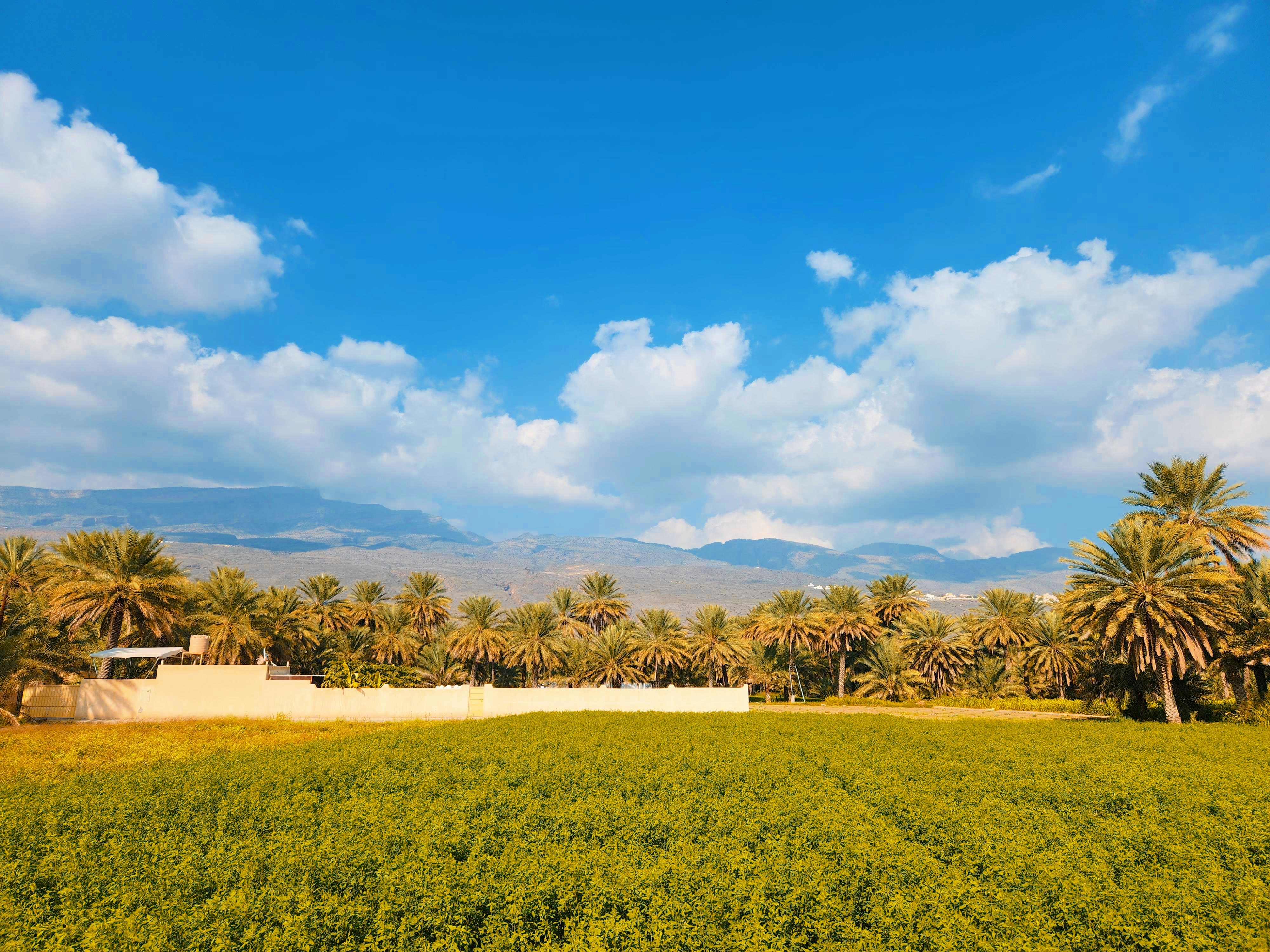 Photo by your_scorpion