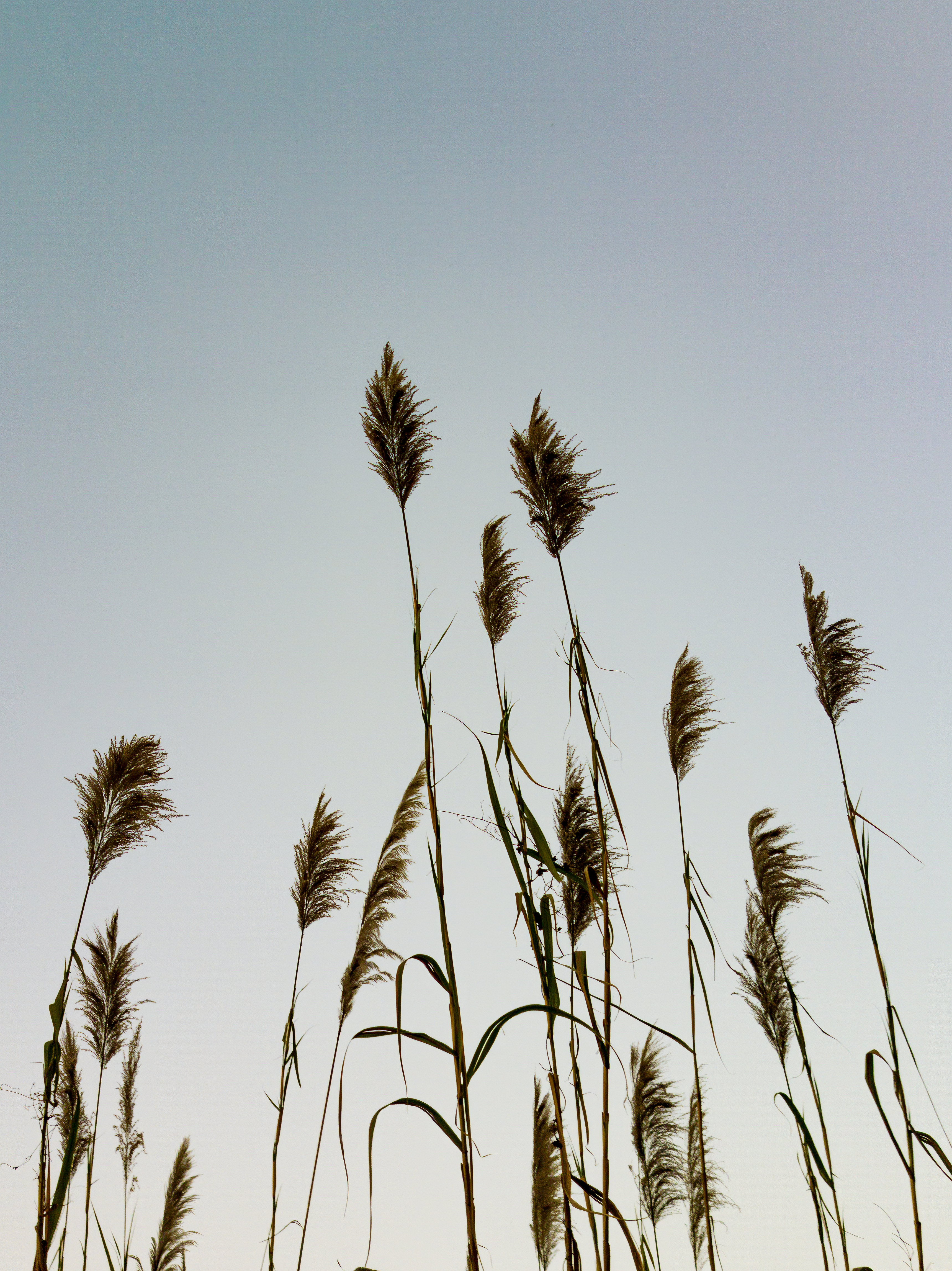 Photo by rohitghosh12