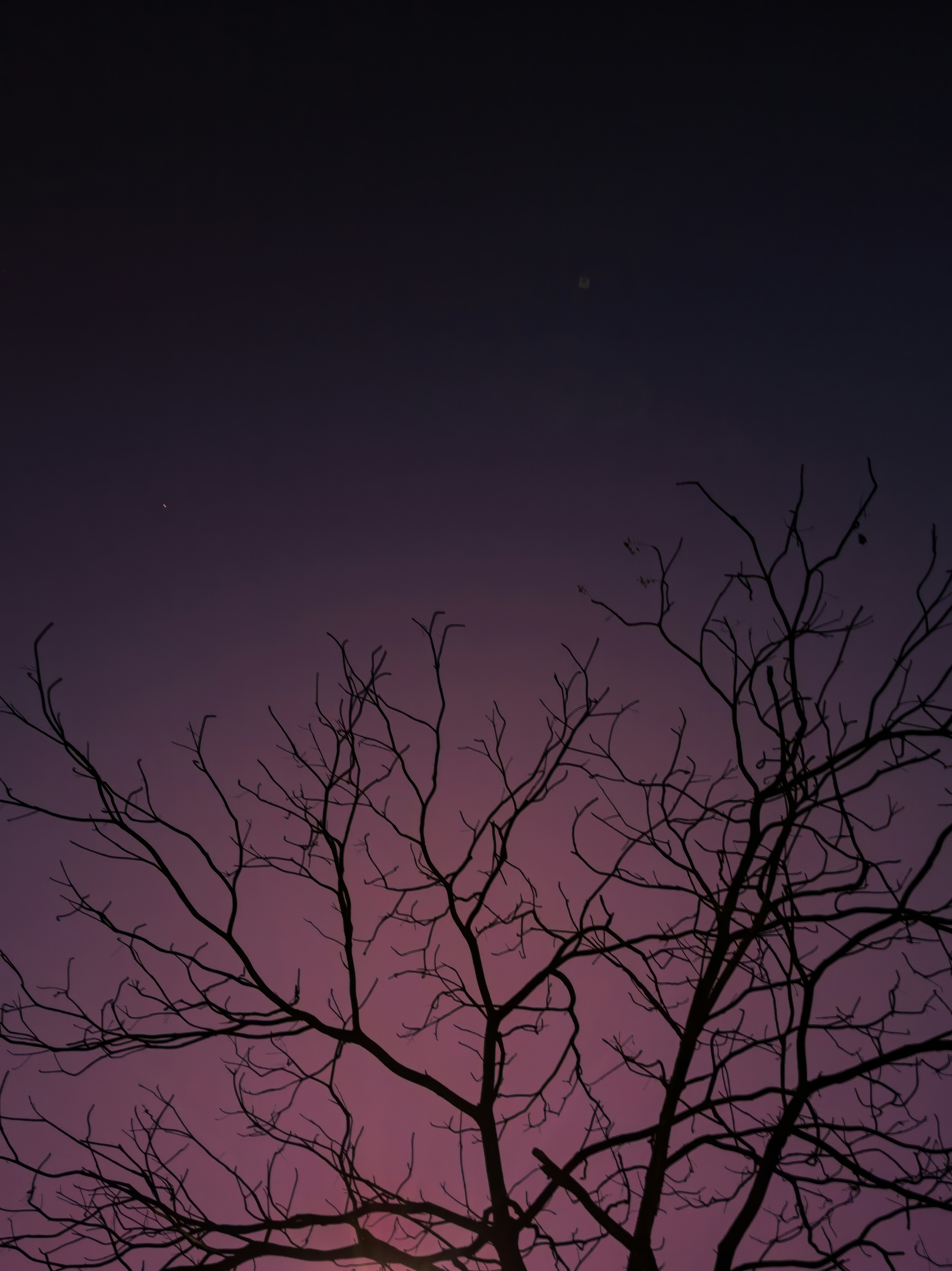 Photo by rohitghosh12