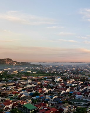 a view of a city with lots of houses