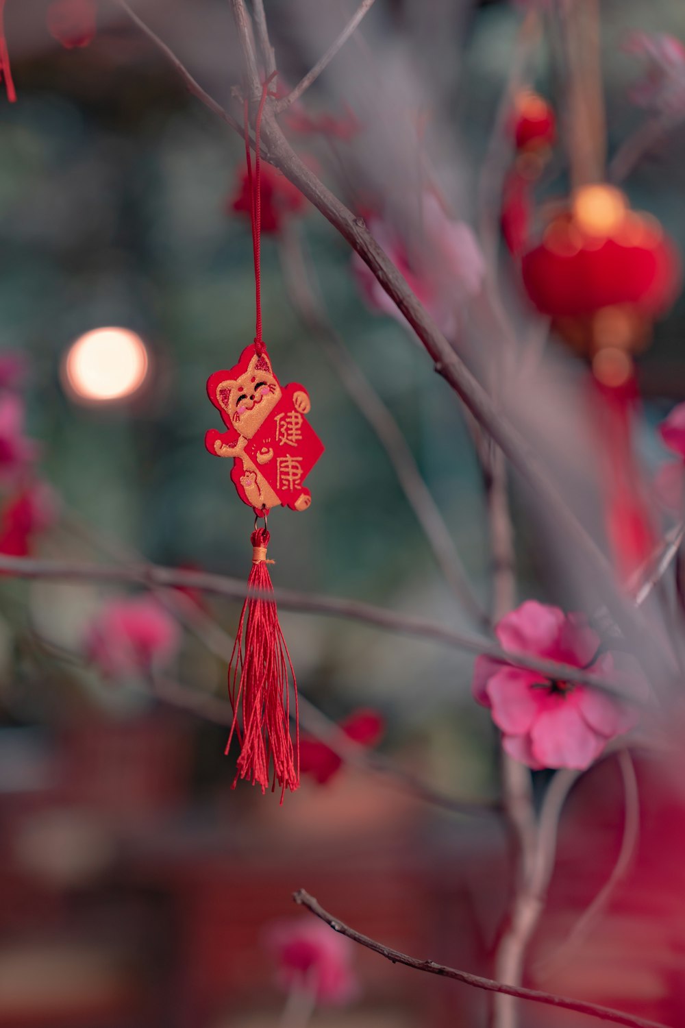 a red ornament hanging from a tree branch