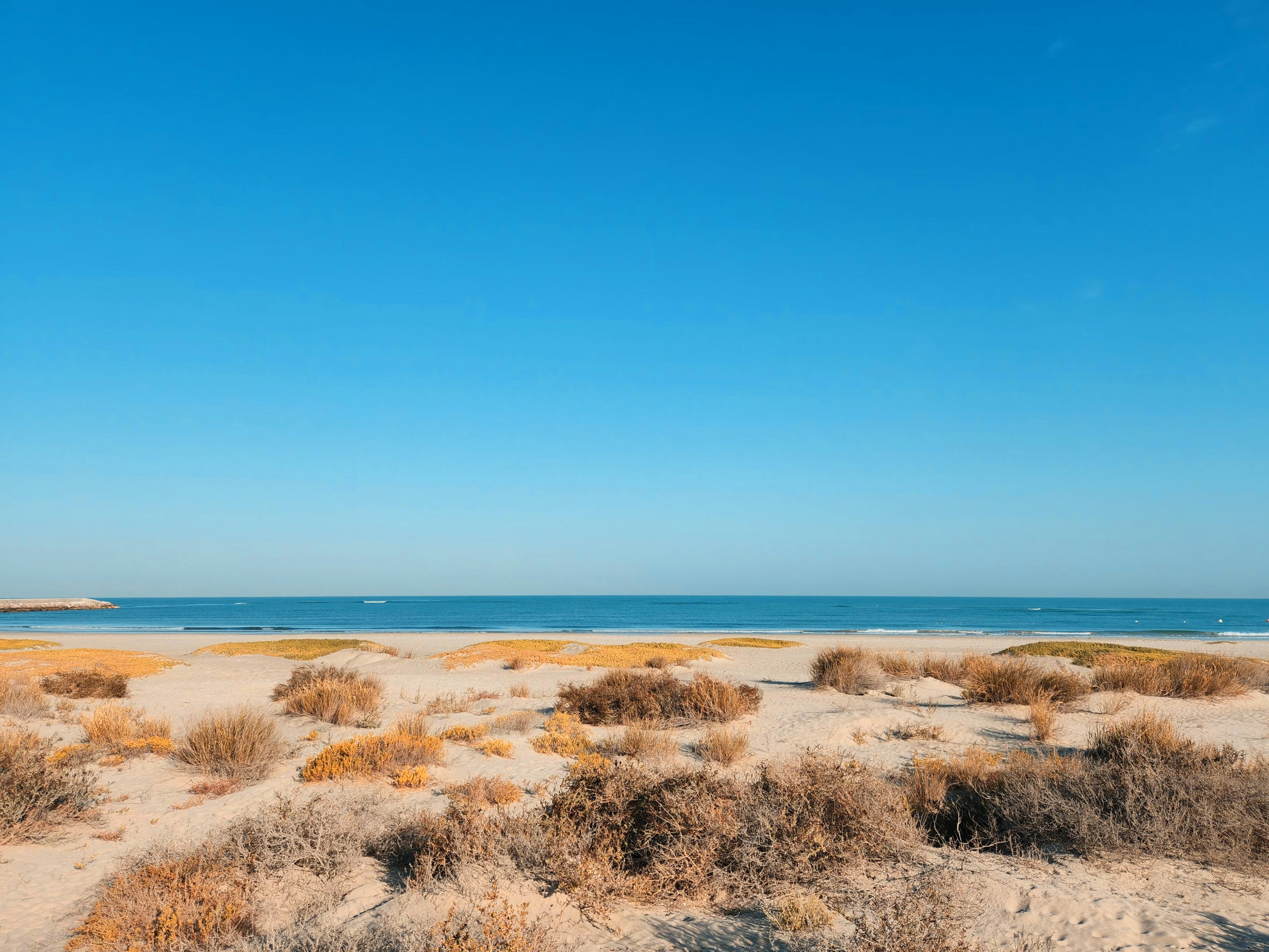 Photo by your_scorpion