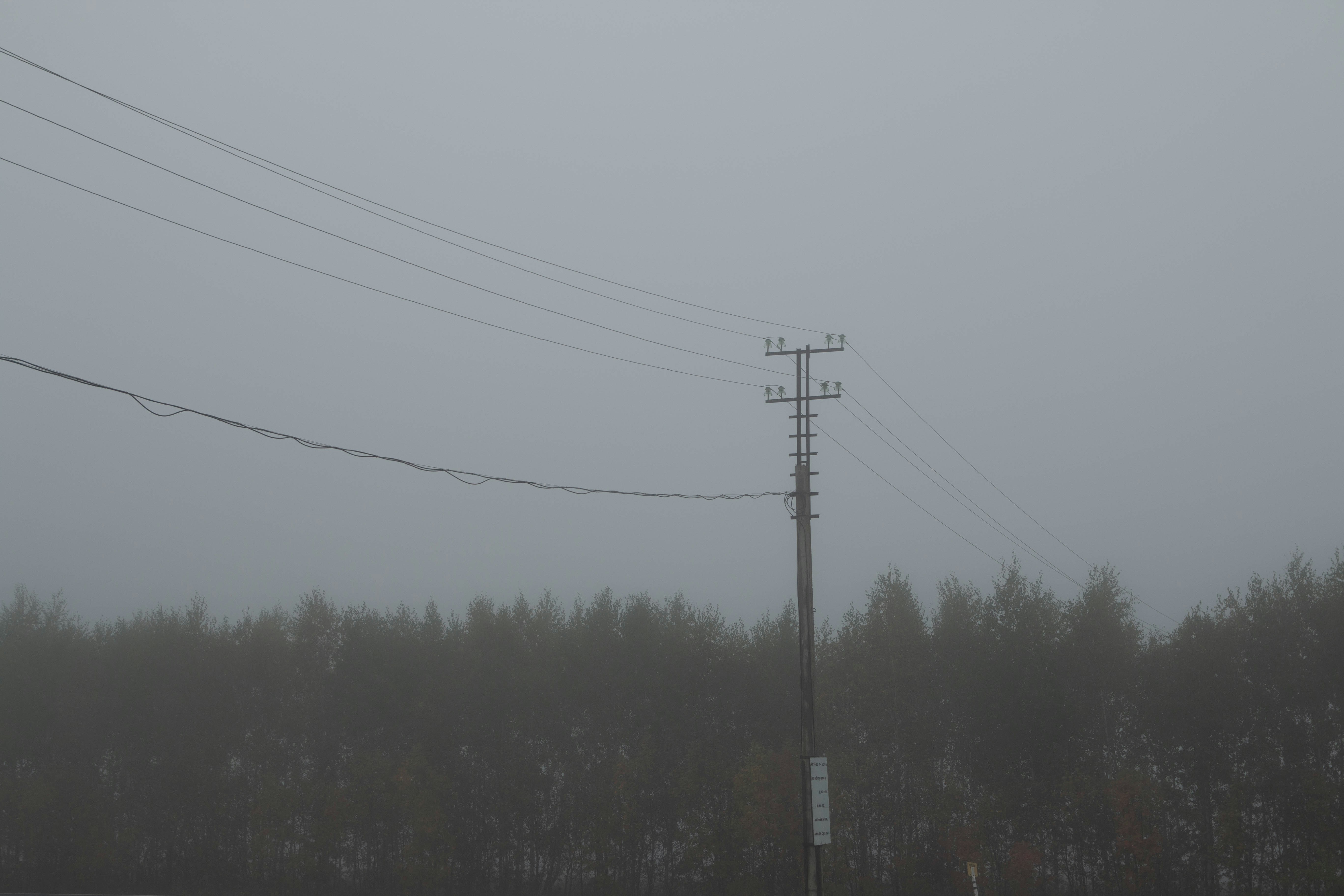 Photo by maksimzaviktorin