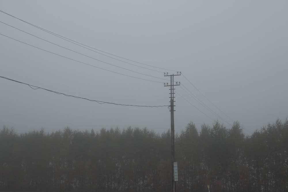 a foggy day with power lines and telephone poles