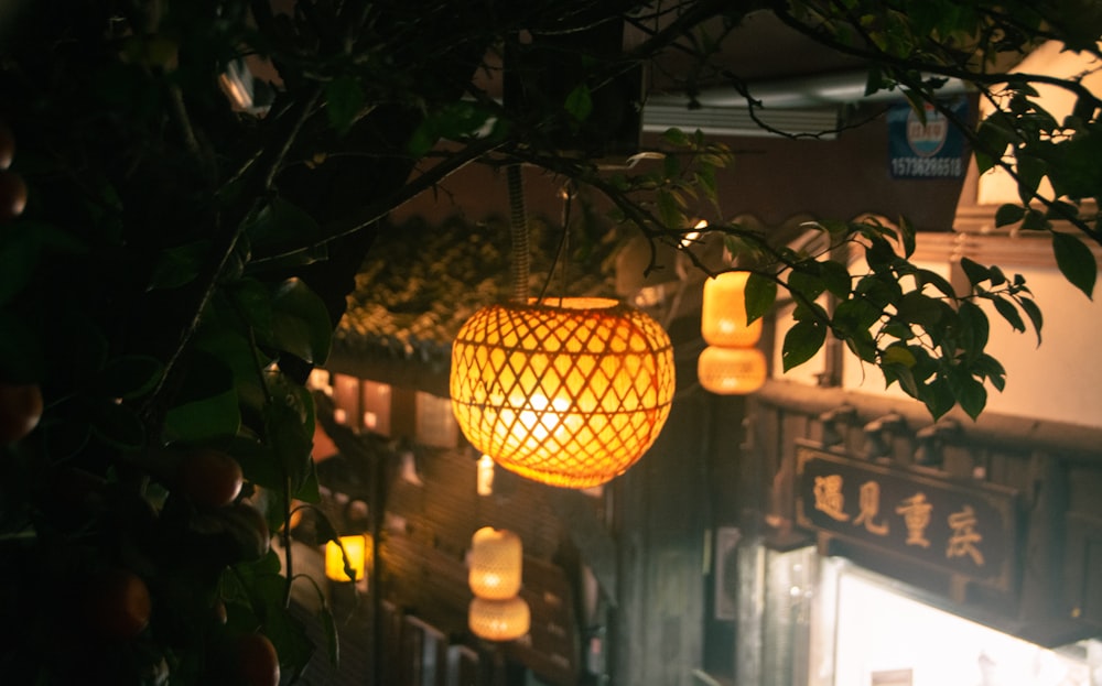 a bunch of lights that are hanging from a tree