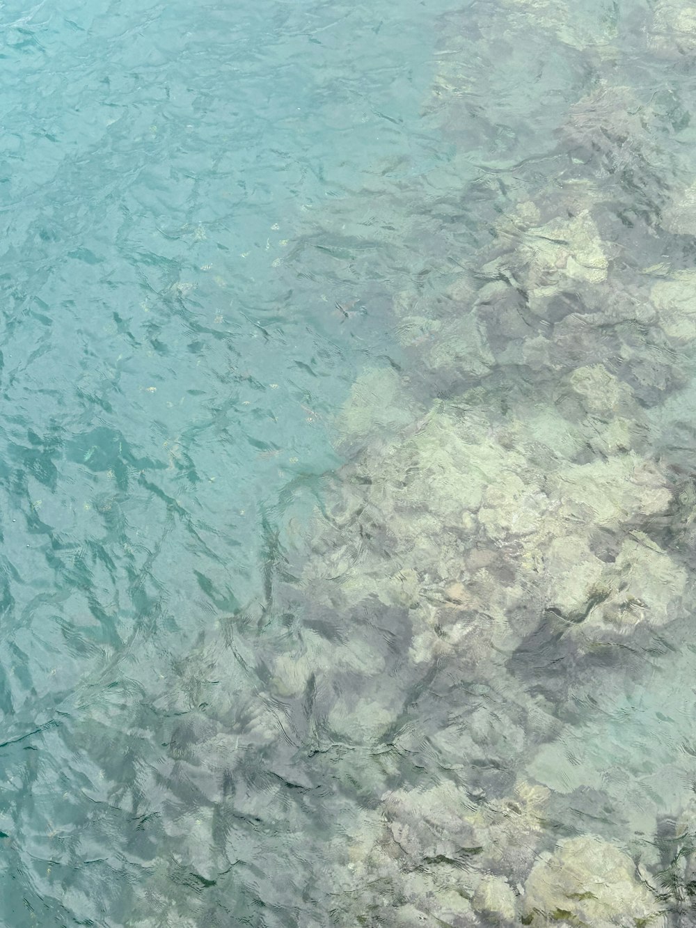 a large body of water surrounded by rocks