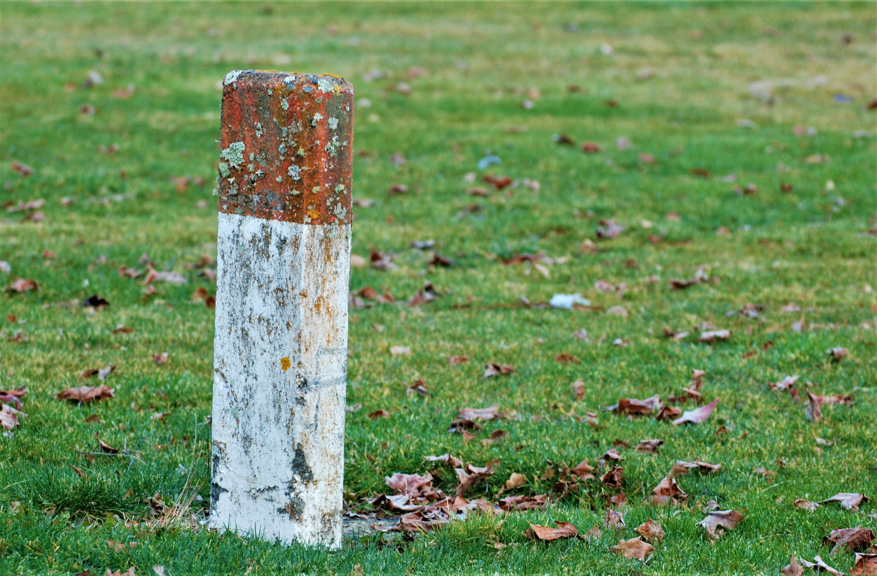 A rusted pole in the middle of a grassy field photo – Free Grass Image ...