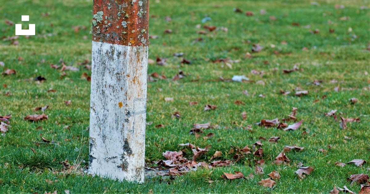 A rusted pole in the middle of a grassy field photo â Free Grass Image ...