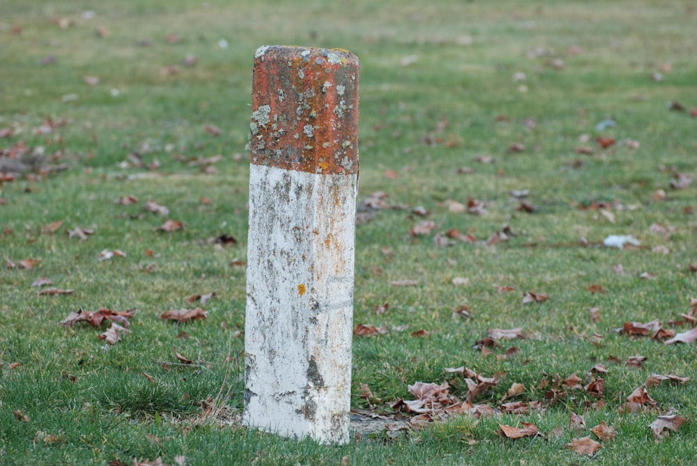 a rusted pole in the middle of a grassy field