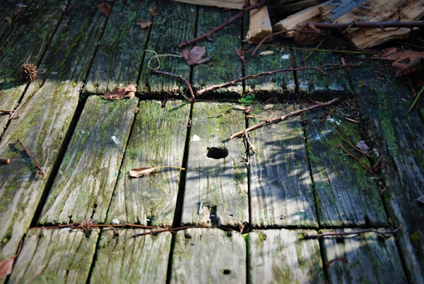 Stained wood surface detail