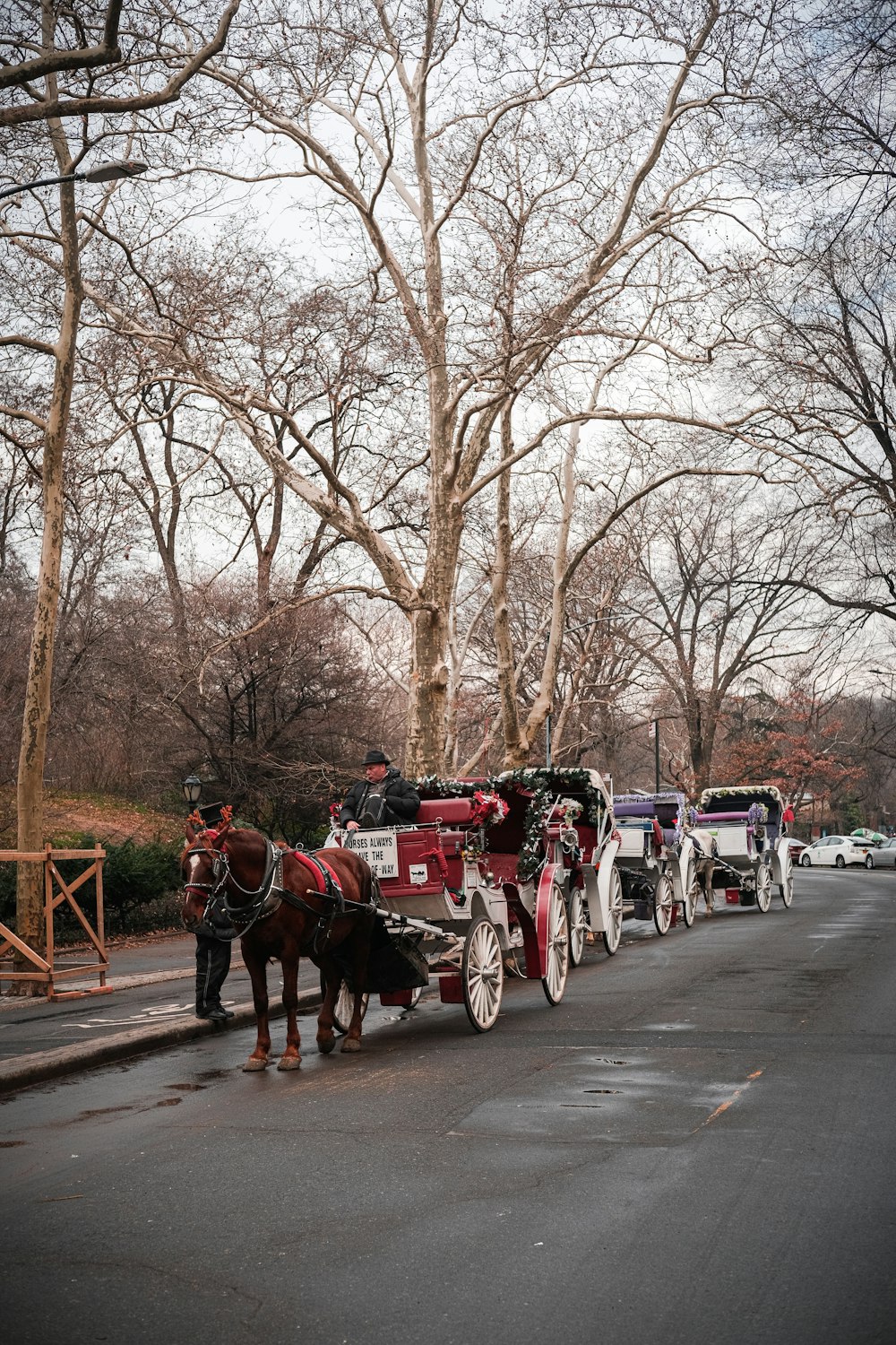 a horse drawn carriage on a city street