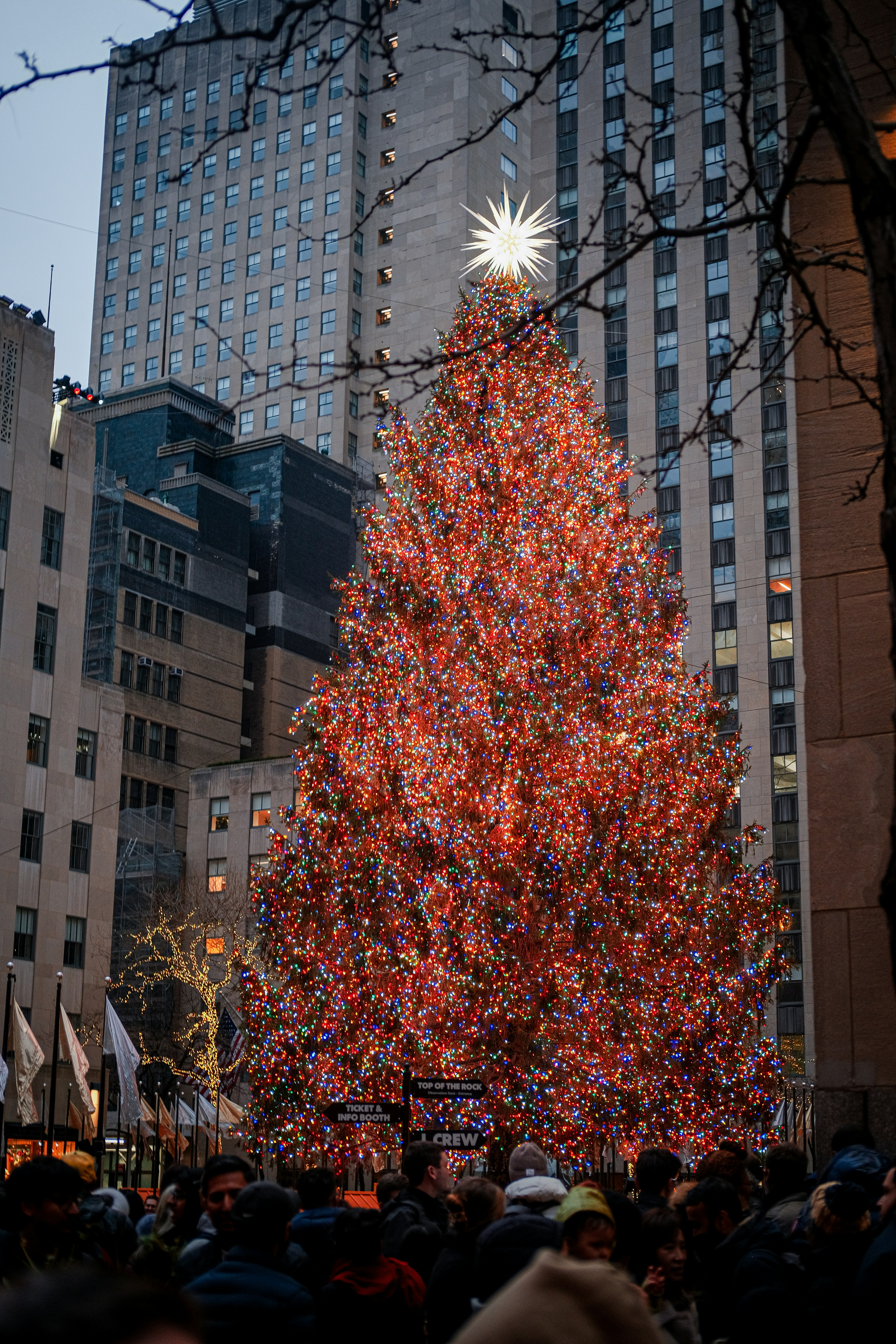 Un grande albero di Natale in una piazza della città