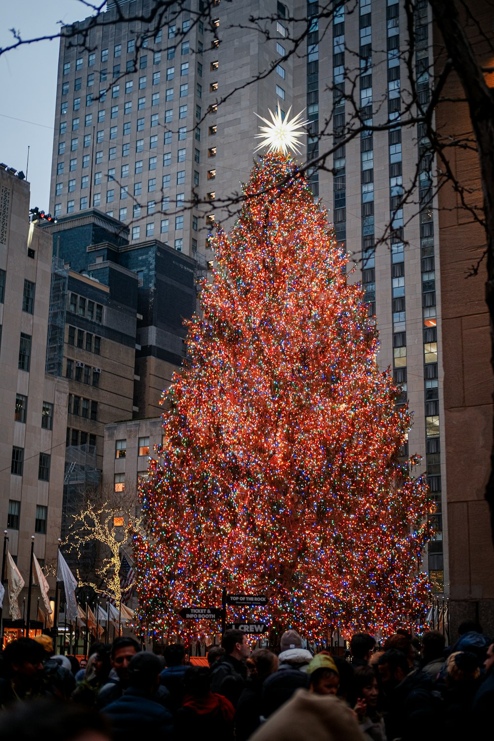 Un grande albero di Natale in una piazza della città