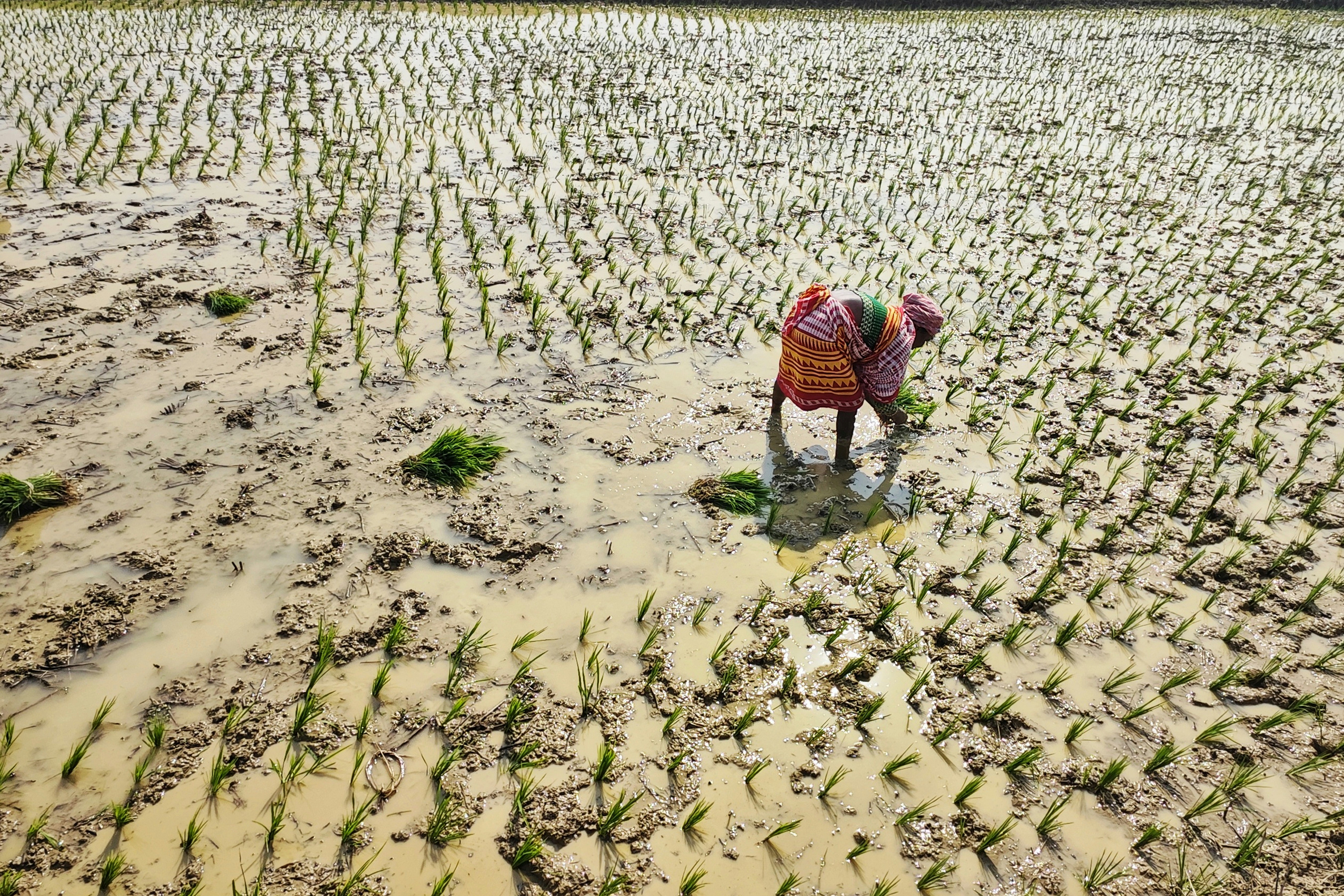 Photo by dibakar16roy