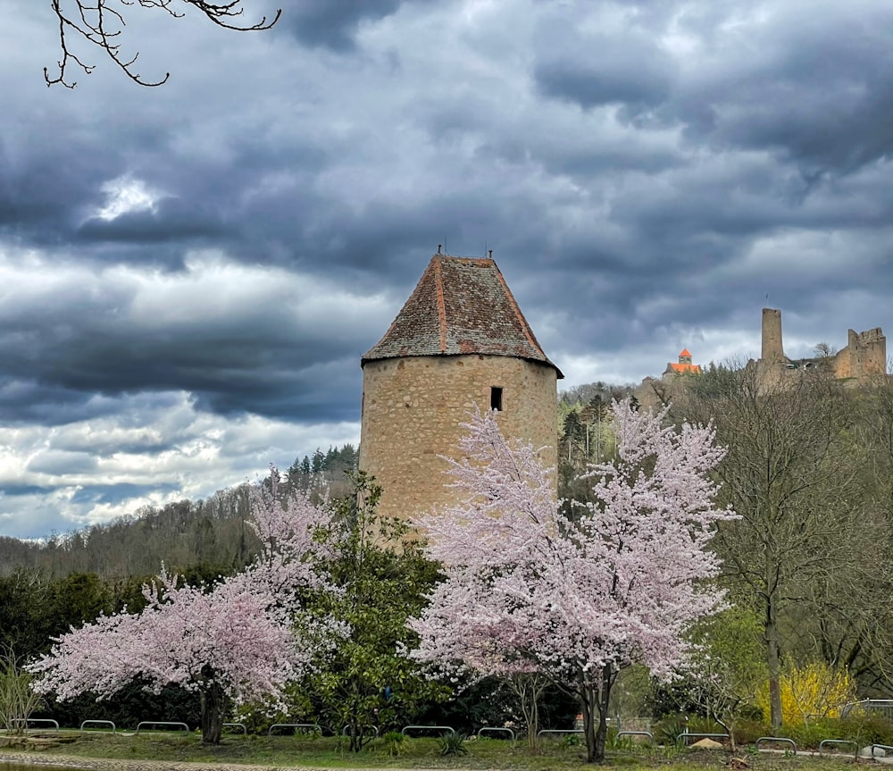 a castle surrounded by trees and flowers under a cloudy sky