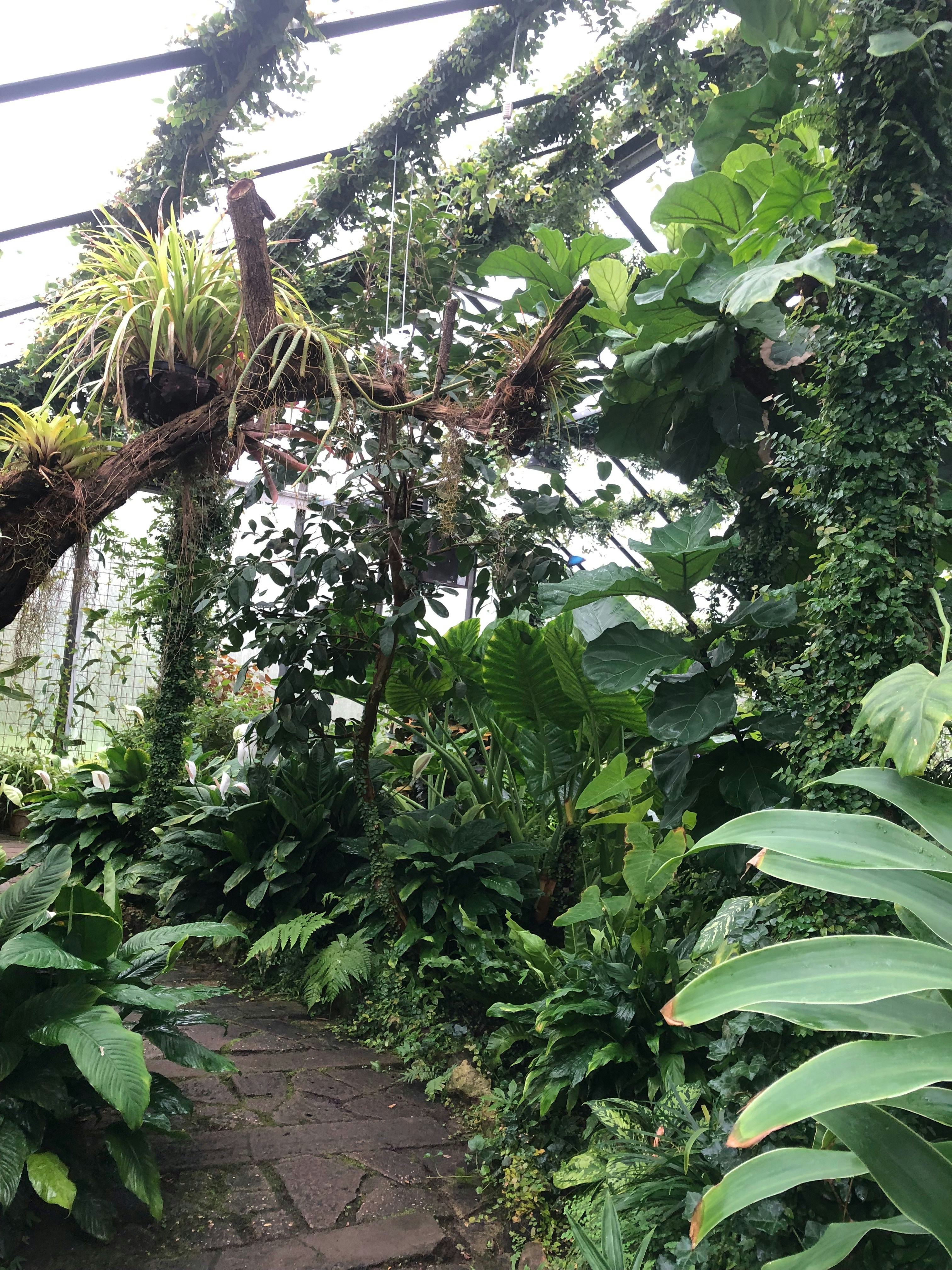 Photo by bruno_caetanos_photography