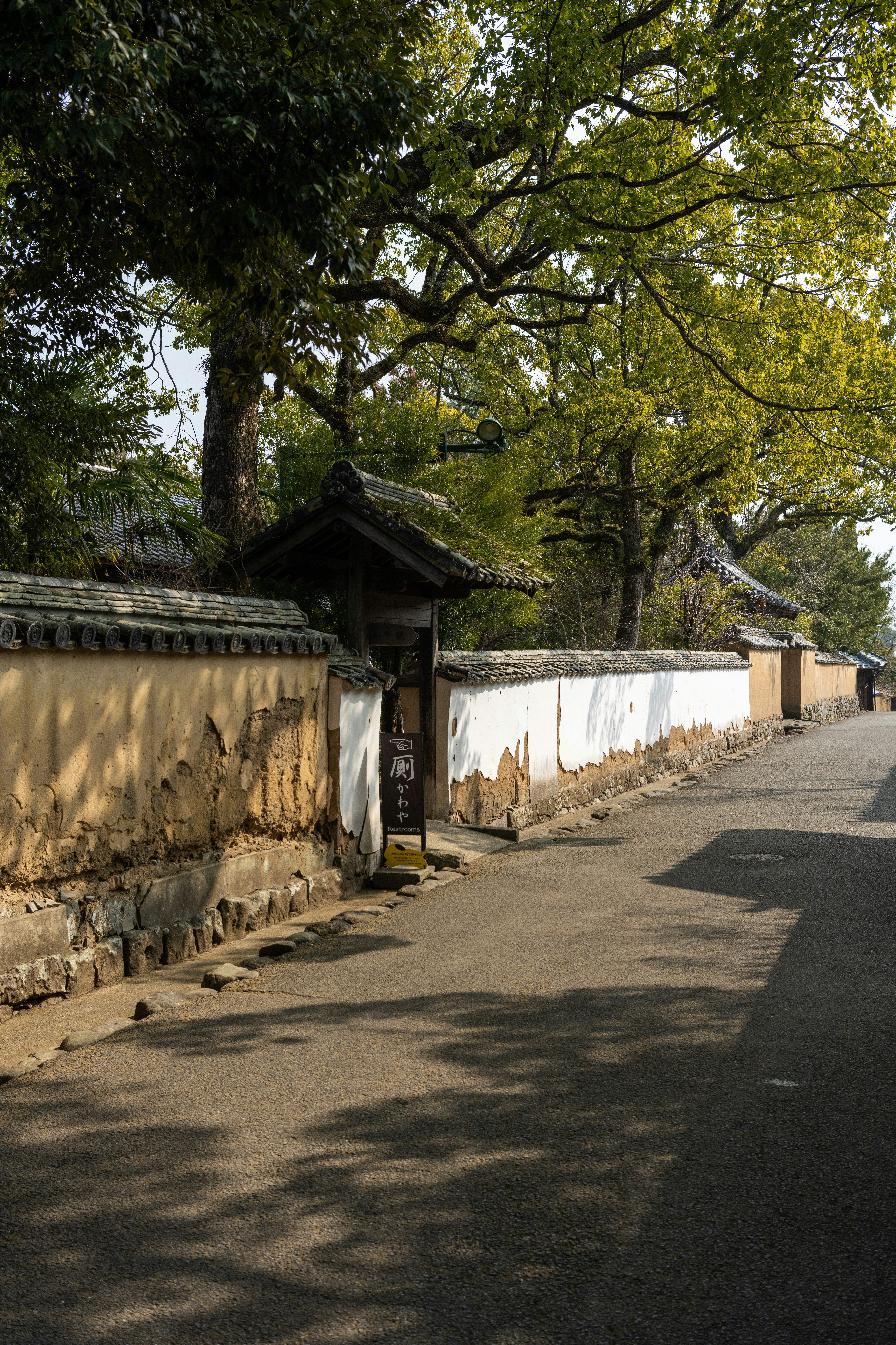 Photo by pafuxu
