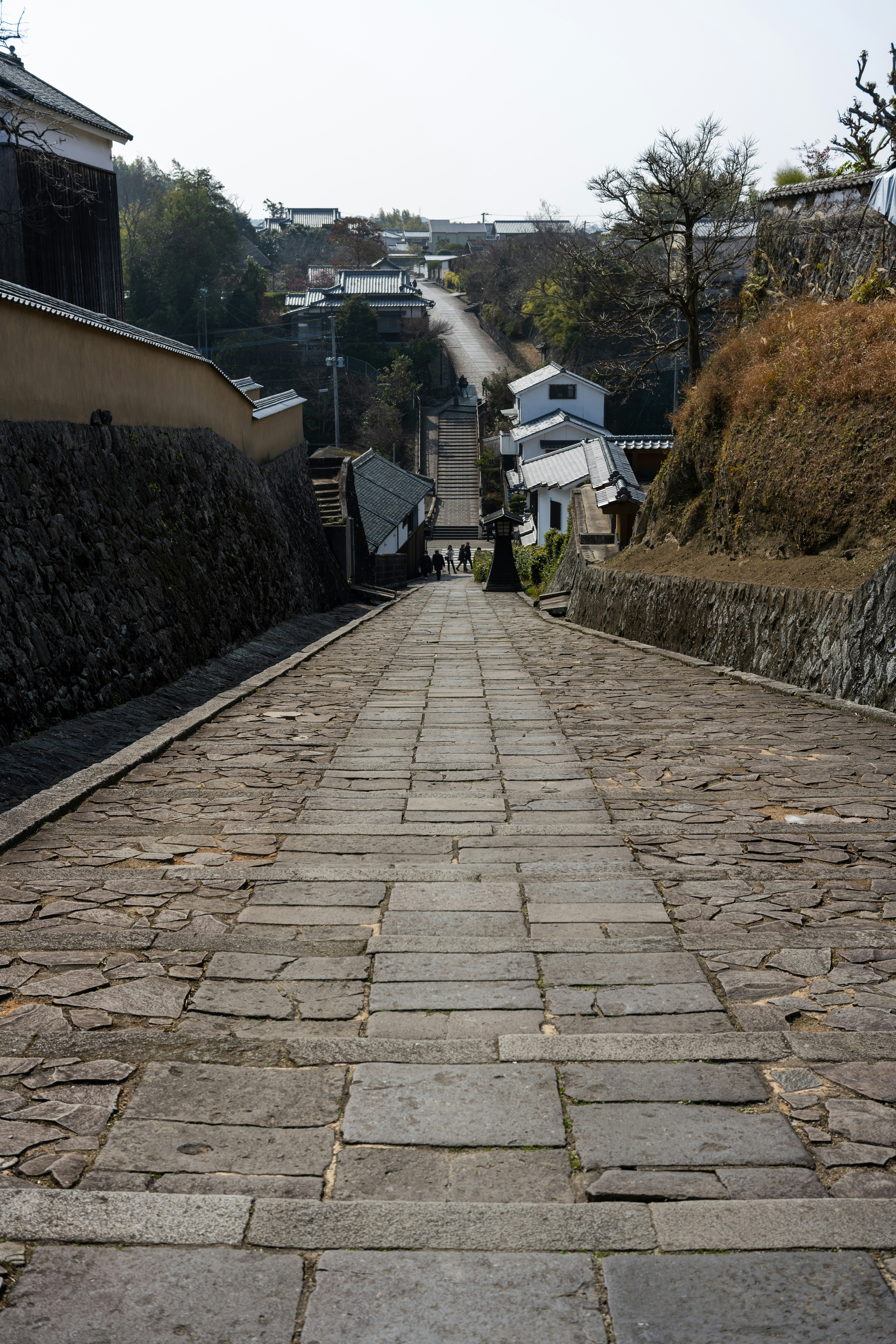 una calle empedrada con edificios al fondo