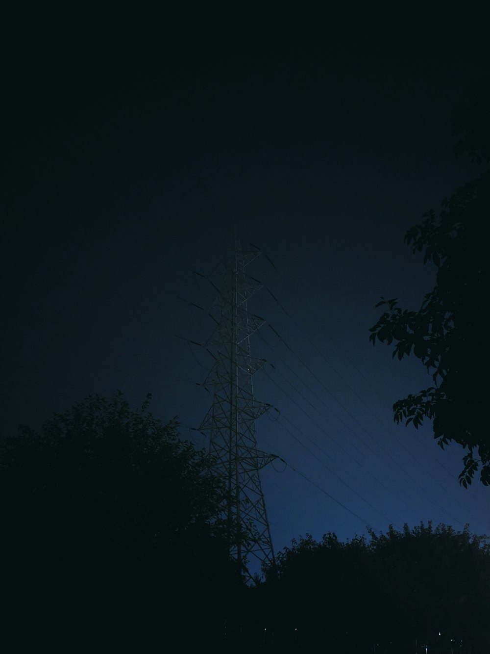 a telephone pole in the middle of a dark forest