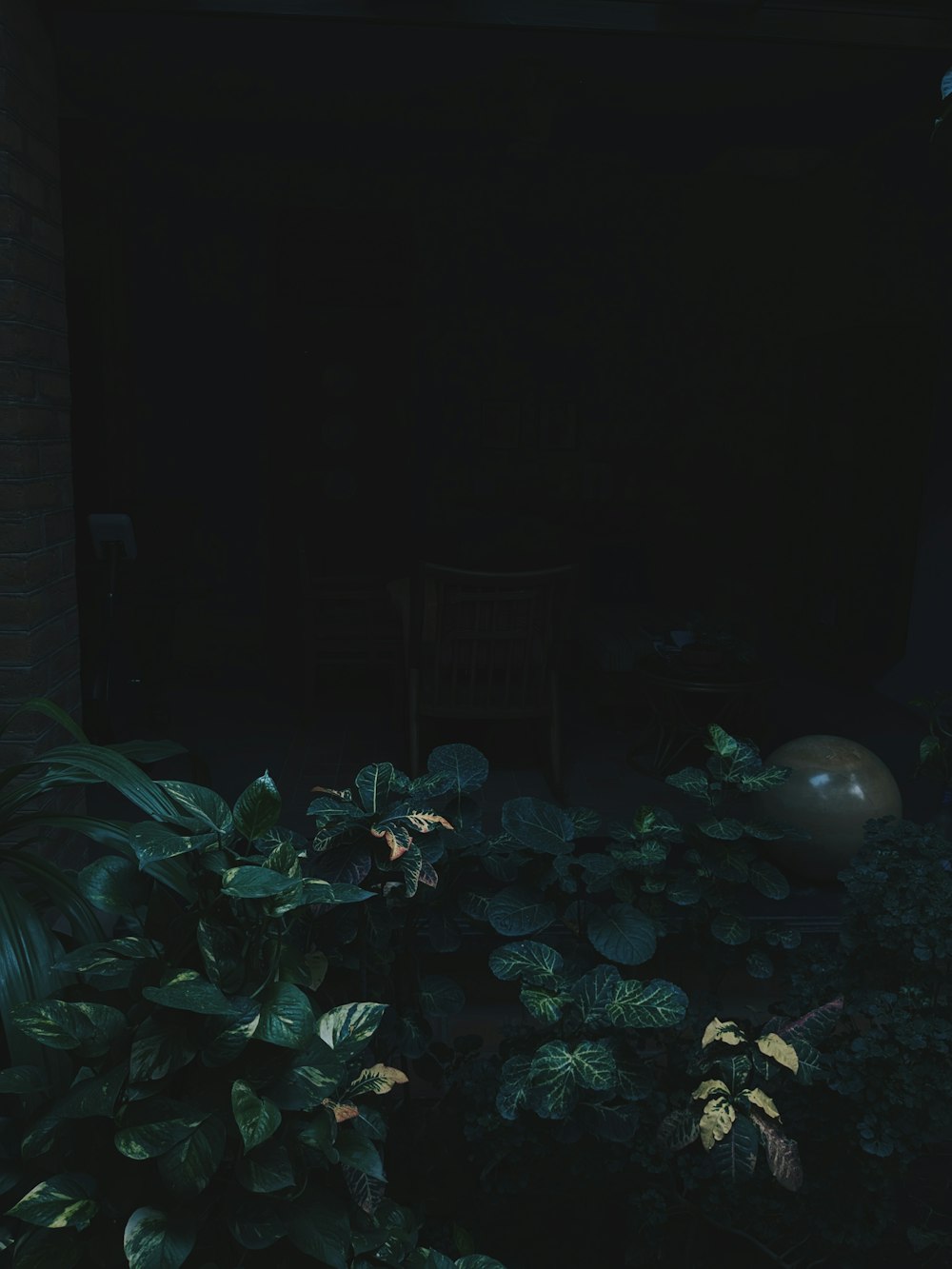 a dark room with plants and a chair