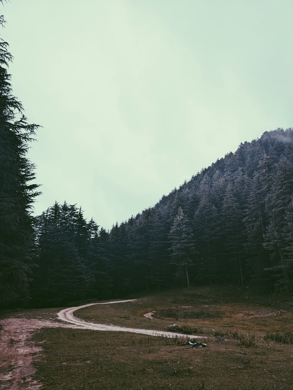 a winding road in the middle of a forest