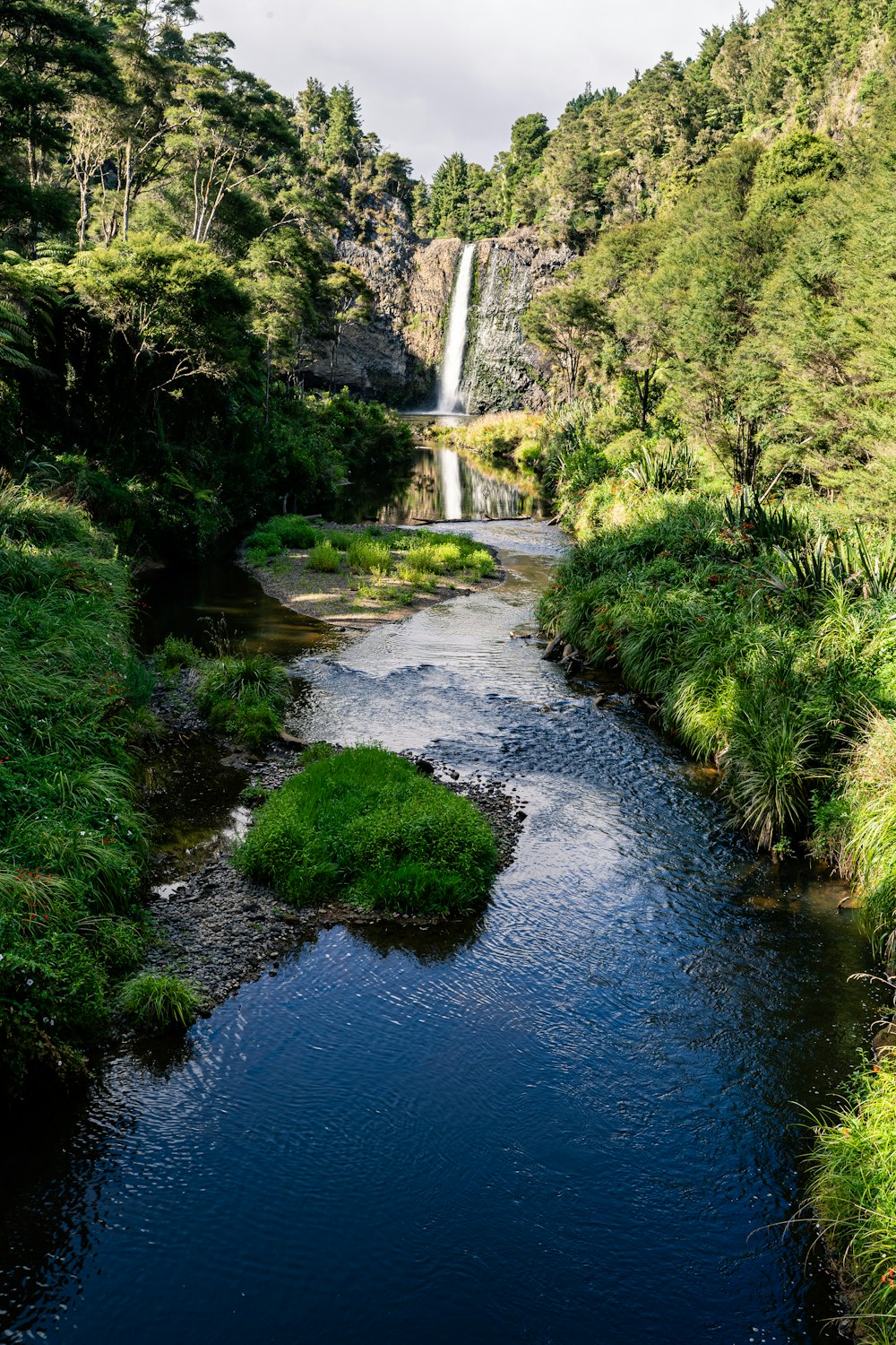 a river running through a lush green forest