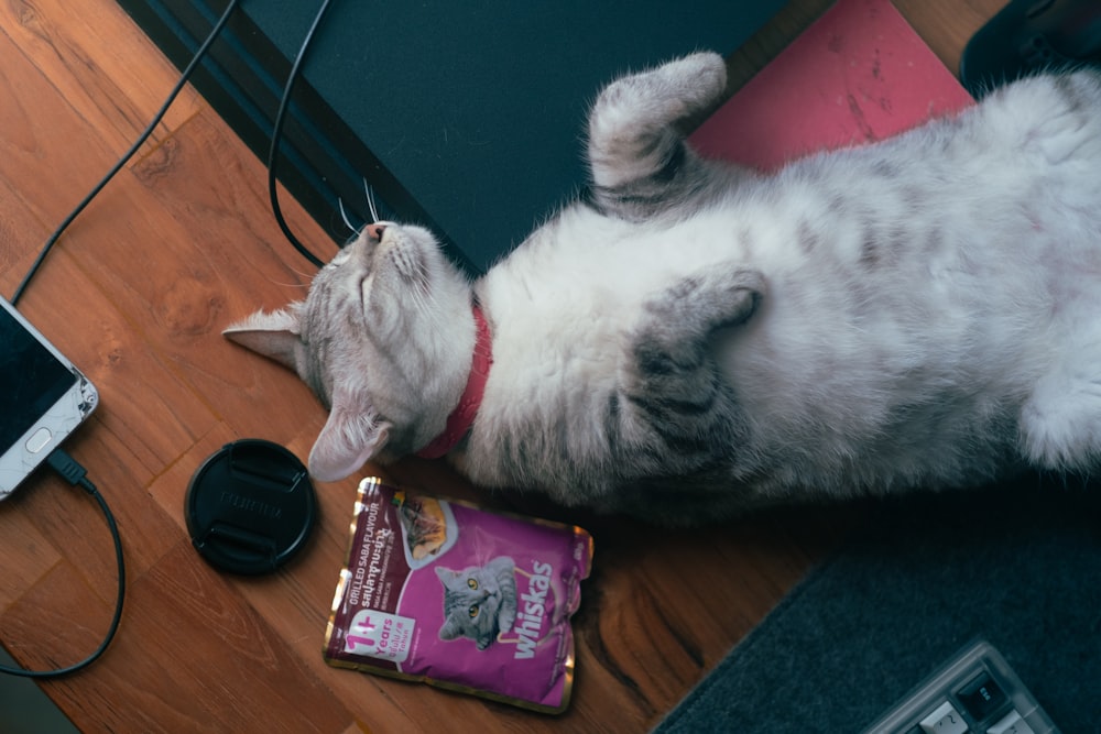 a cat laying on its back next to a bag of catnip